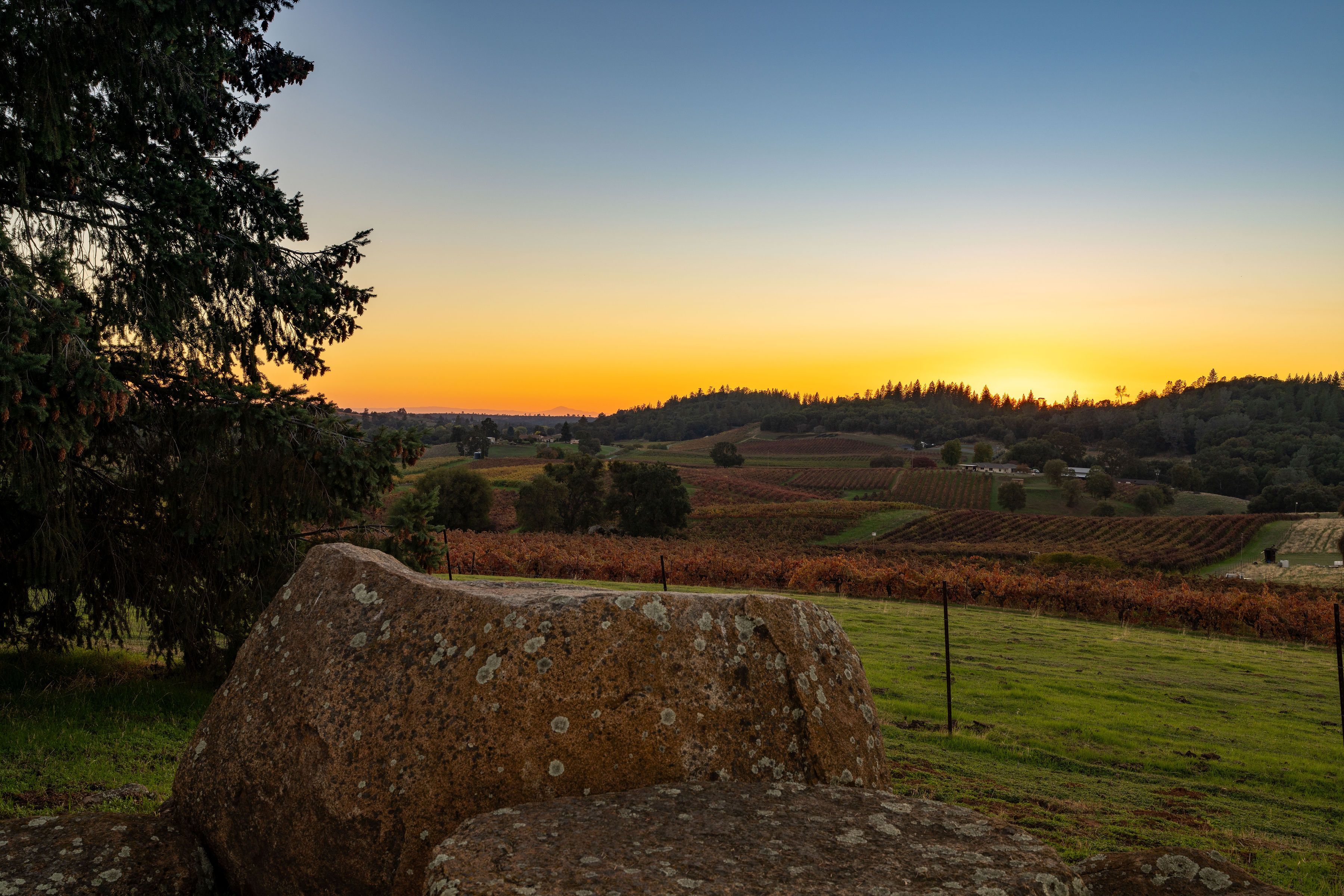  12551 Steiner Road, Plymouth, CA 95669 - 物件實景