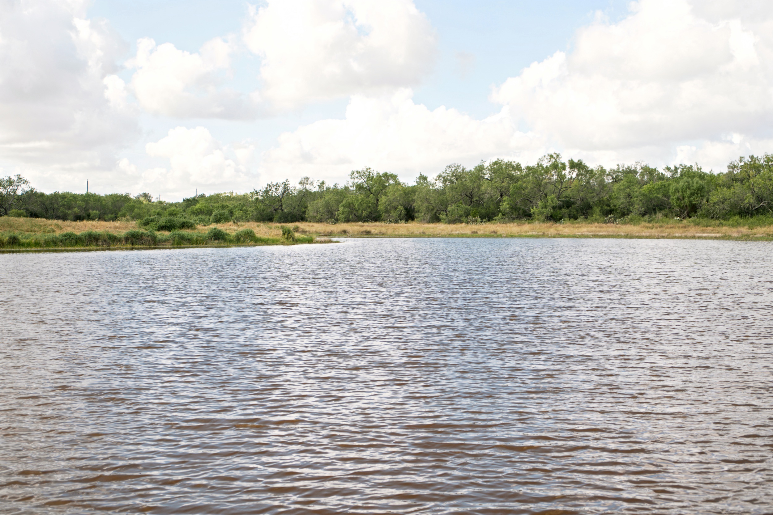  1234.89 +/- Acres, Santa Clara Ranch, Atascosa County, Falls City, TX 78113 - 物件實景