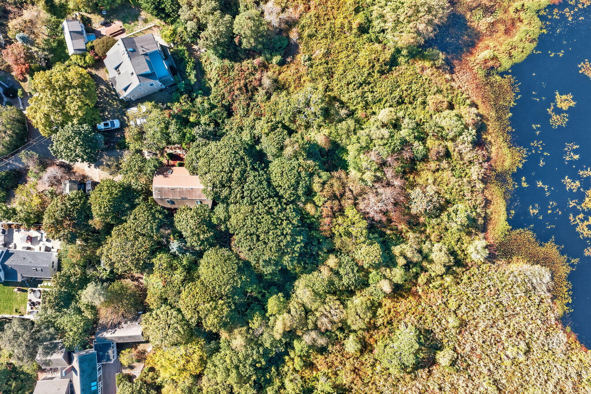  Wooded Privacy, Soaring Ceilings & a Separate Apartment - 物件實景