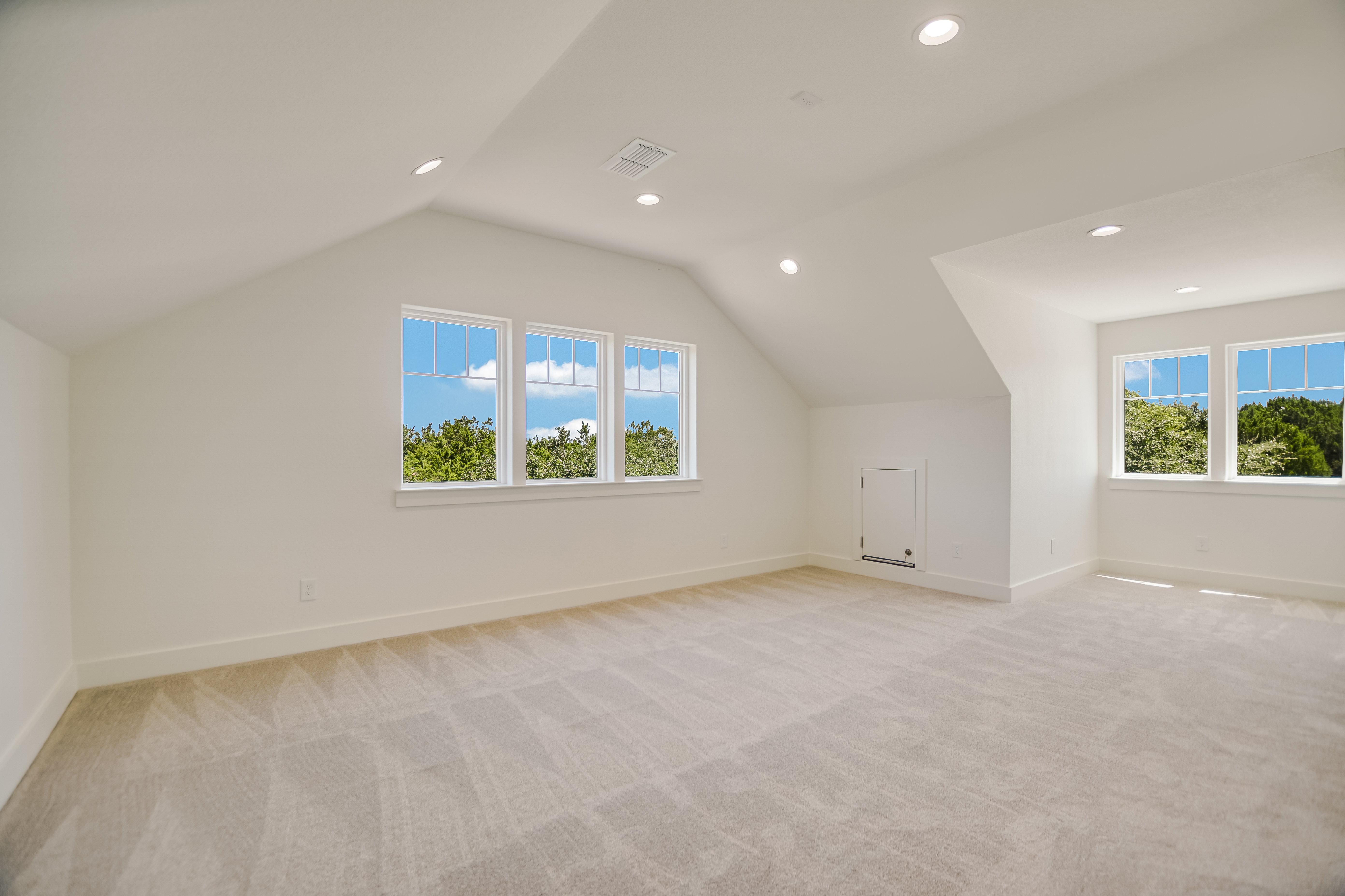  Exquisite New Construction in the Serene Woodcreek of Wimberley - 物件實景