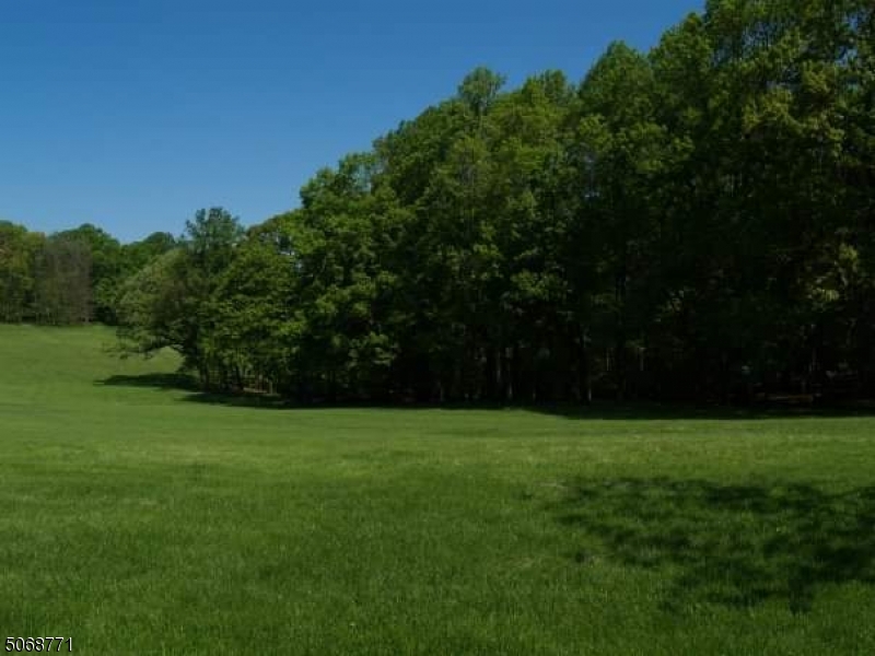 Mendham Twp., New Jersey, 07945, United States, ,Land,For Sale,1877223