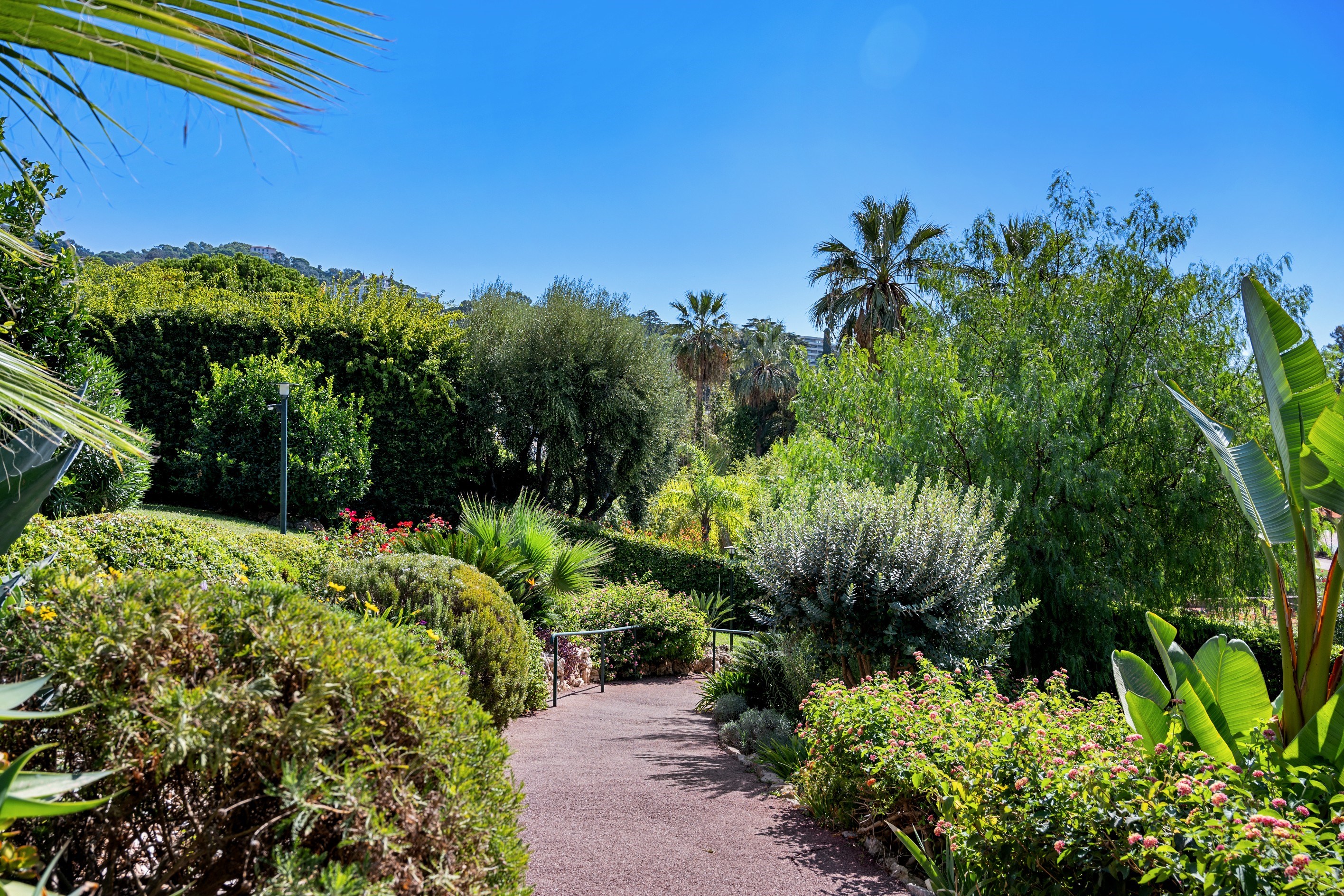  CANNES MONTFLEURY- Renovated Apartment with Open Garden Views, Close to All Ame… - 物件實景