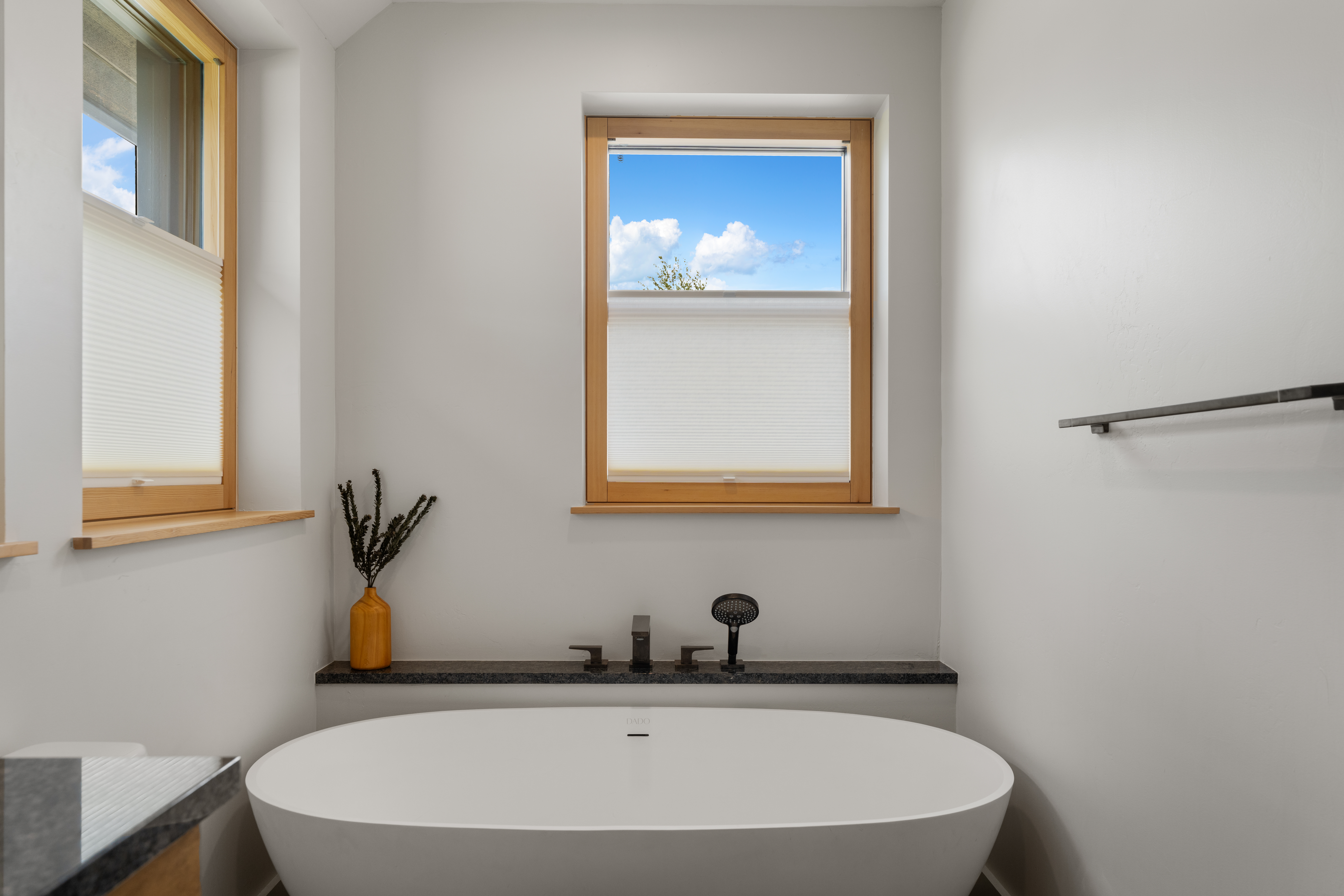  Cutting Edge Sustainable Construction with ADU in Crested Butte - 物件實景