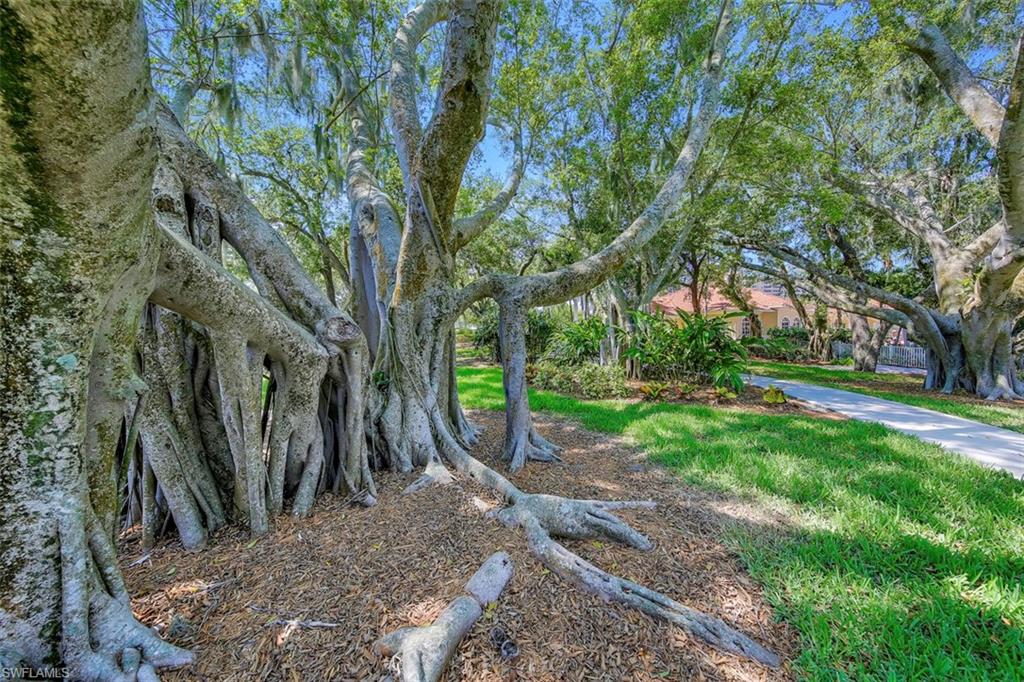 Cape Coral, Florida, 33914, United States, 3 Bedrooms Bedrooms, ,4 BathroomsBathrooms,Residential,For Sale,1963811