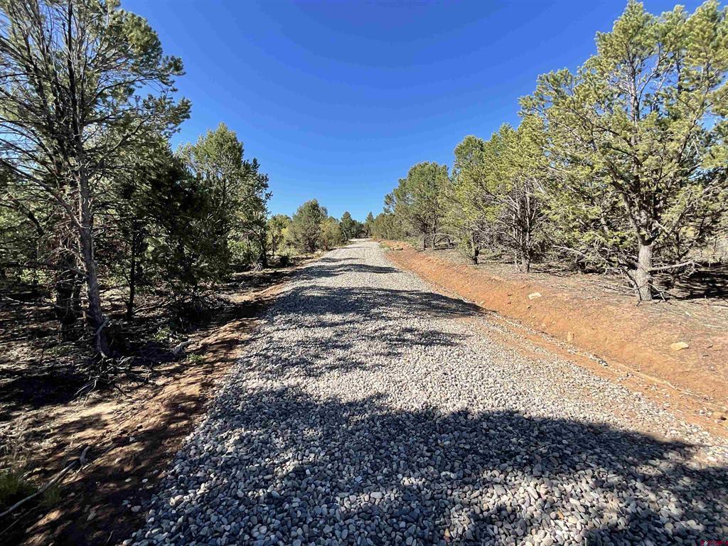 Montrose, Colorado, 81403, United States, ,Land,For Sale,1919926
