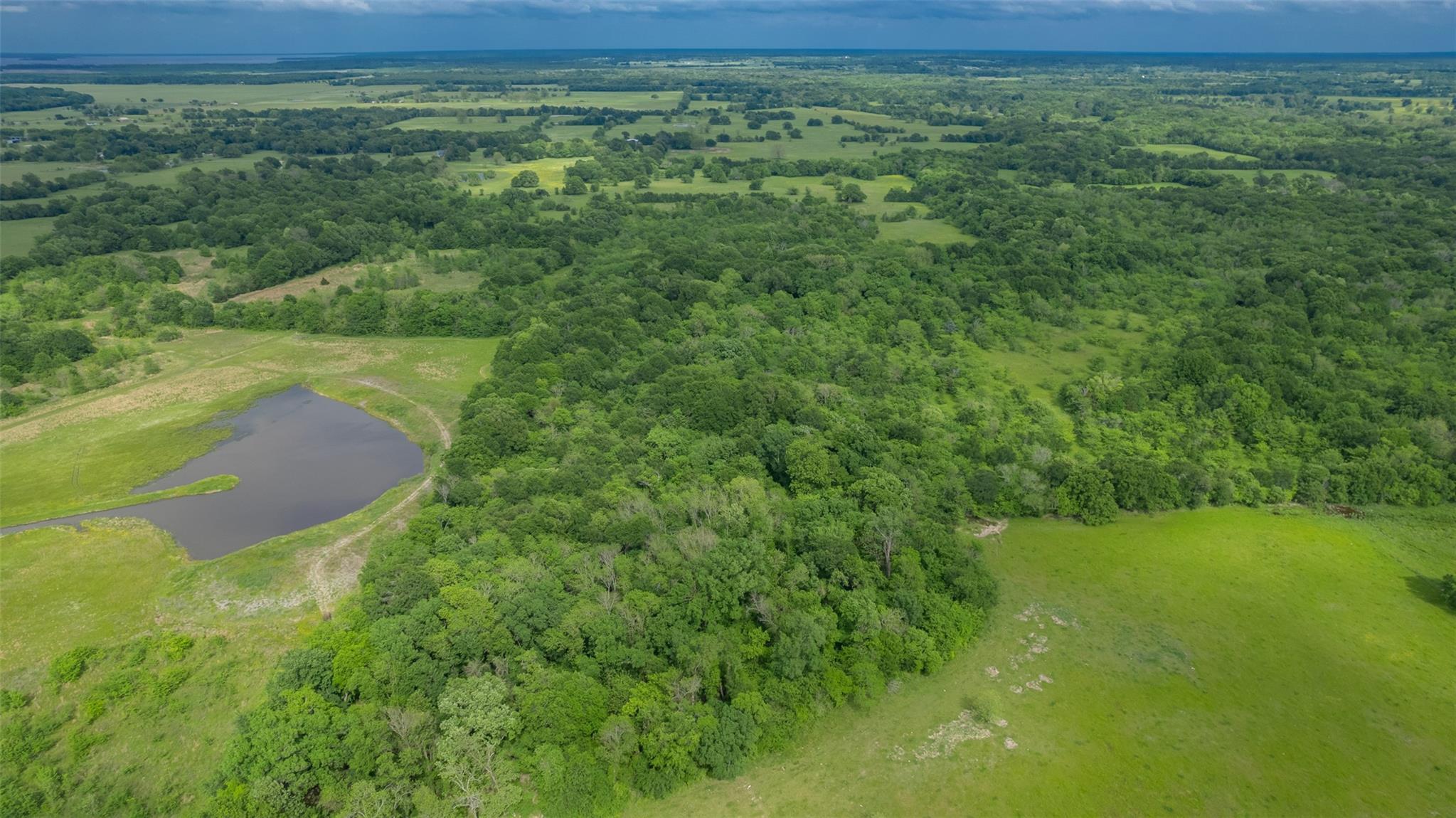 Commerce, Texas, 75428, United States, ,Residential,For Sale,1810631