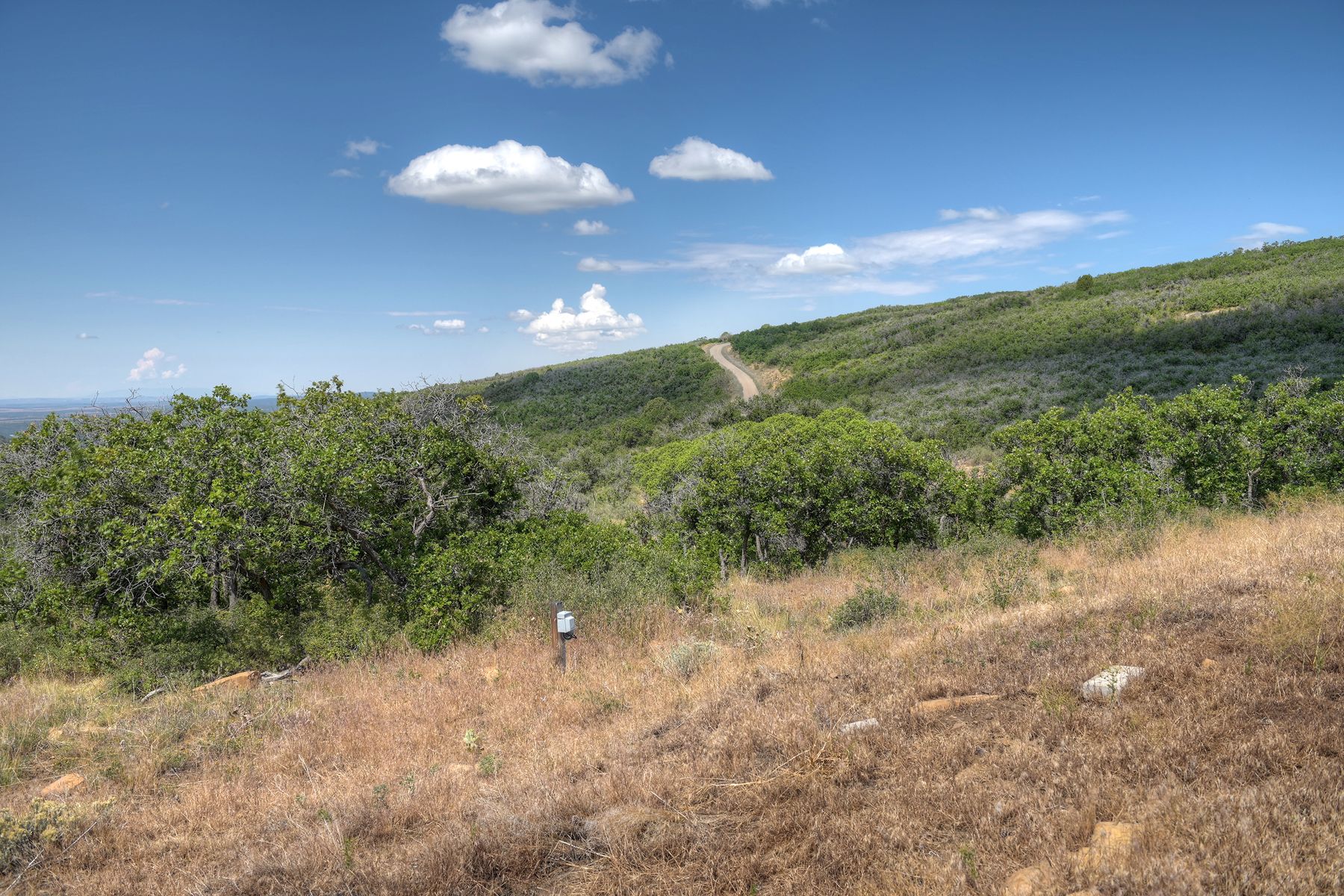  TBD Cross Creek Road, Hesperus, CO 81326 - 物件實景