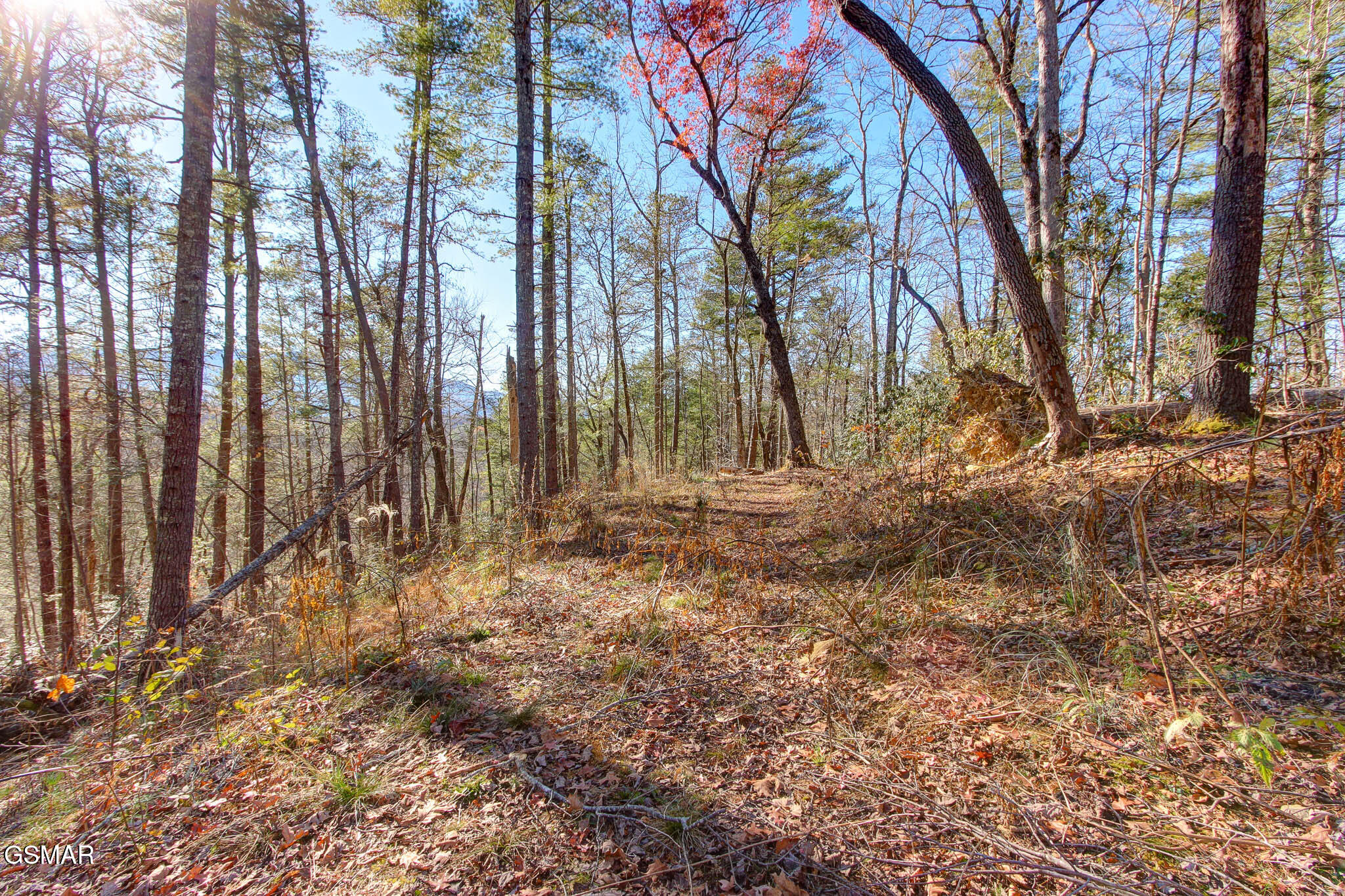 Cosby, Tennessee, 37722, United States, ,Land,For Sale,1978210