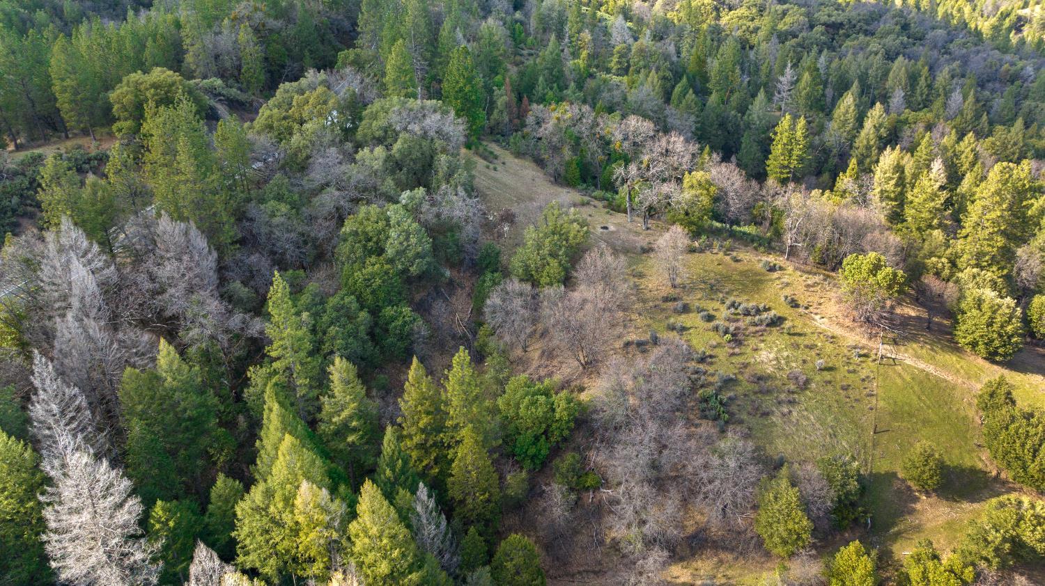 Camptonville, California, 95922, United States, 1 Bedroom Bedrooms, ,2 BathroomsBathrooms,Residential,For Sale,1938019