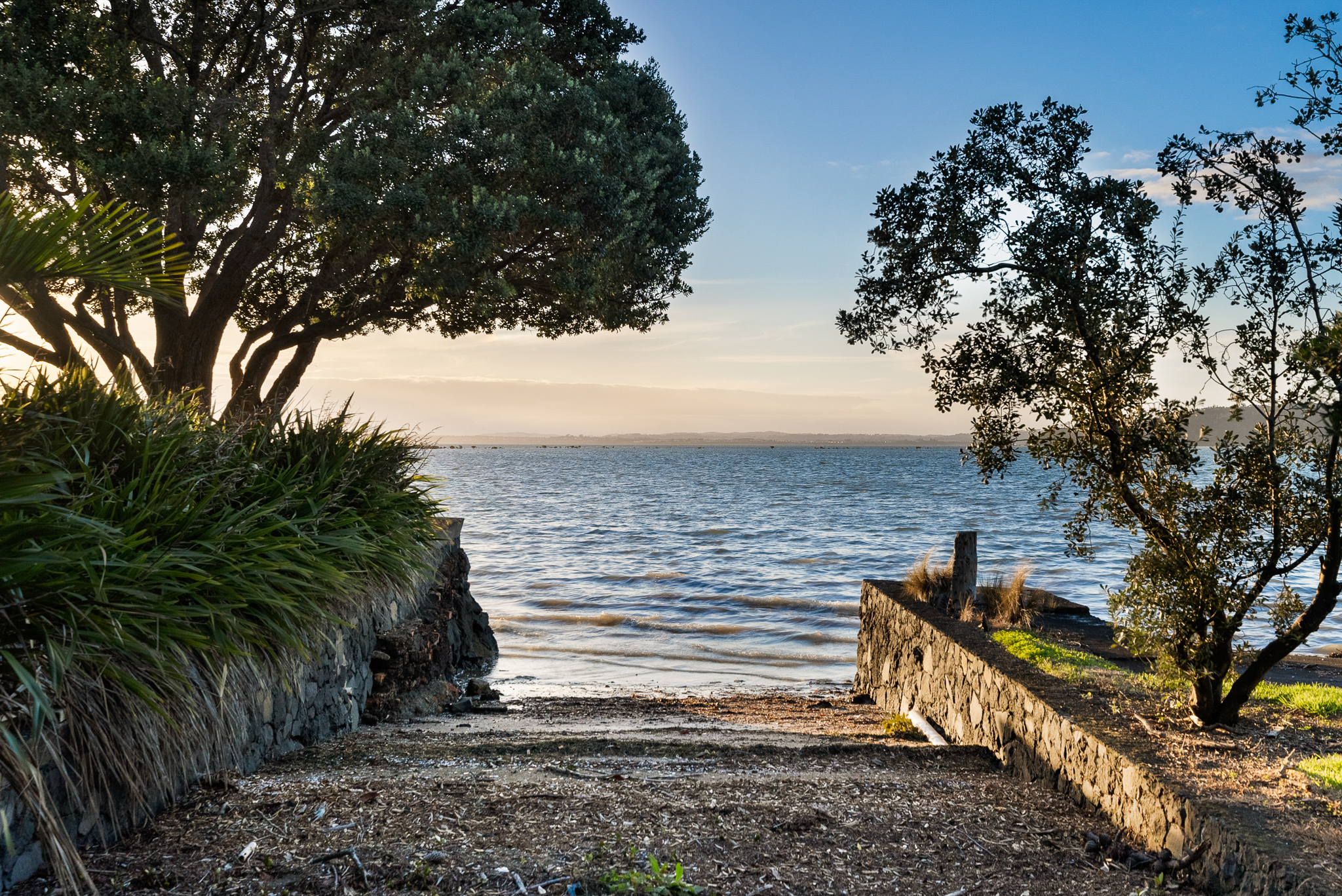  Elevated, Coastal, Connected - 物件實景