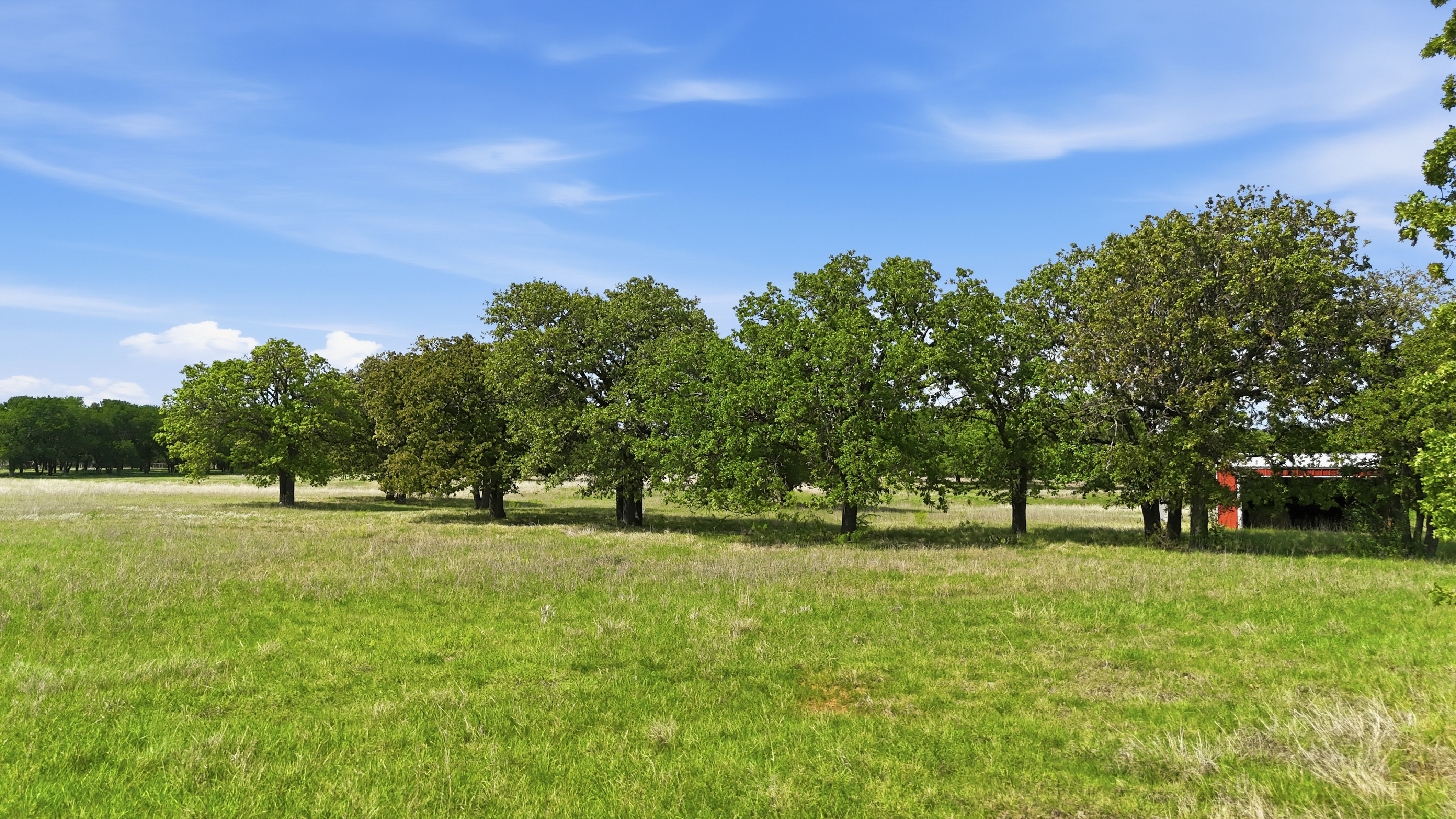  400 River Ranch Road, Aledo, TX, 76008 - 物件實景