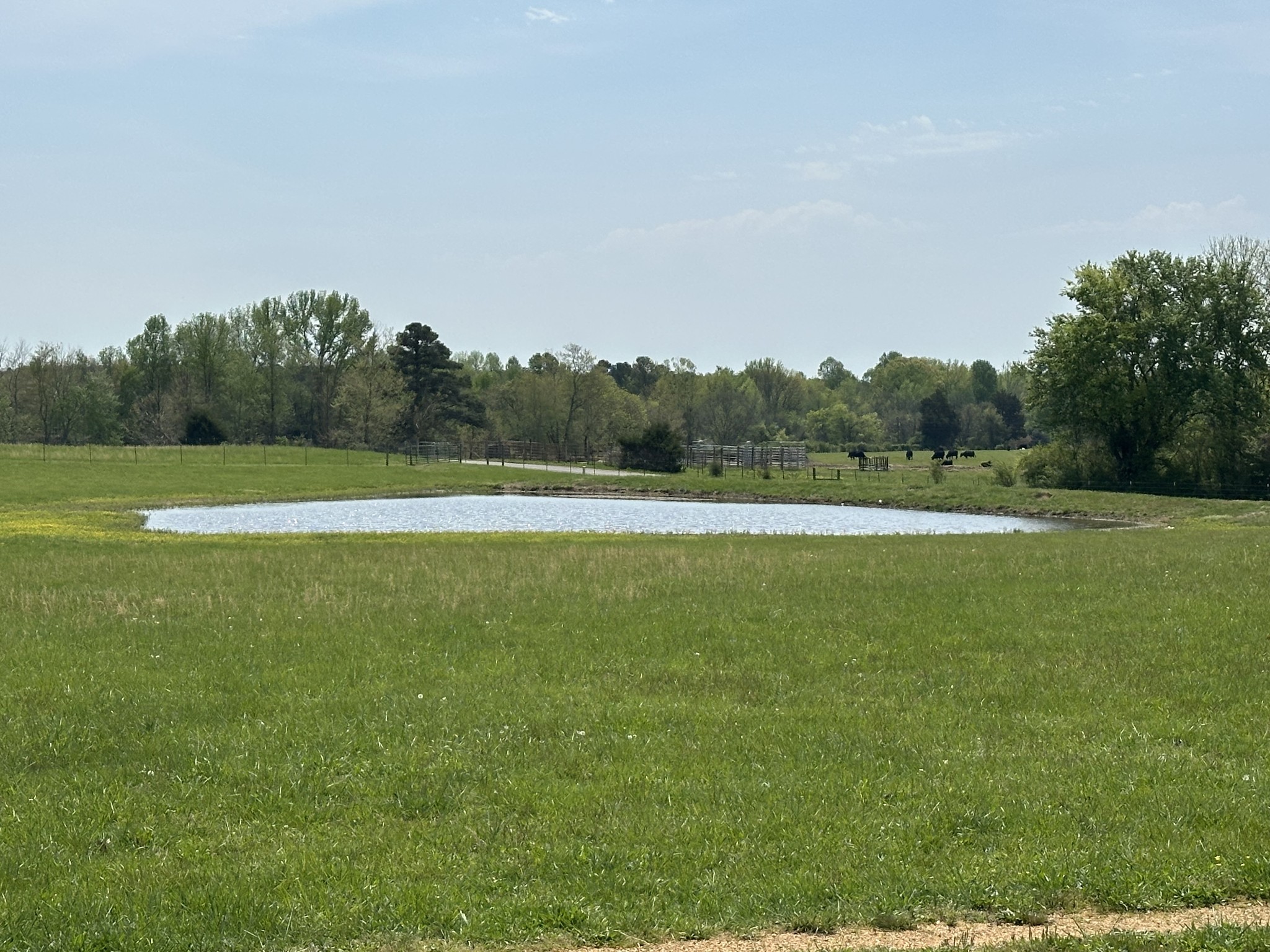 Lawrenceburg, Tennessee, 38464, United States, 3 Bedrooms Bedrooms, ,1 BathroomBathrooms,Residential,For Sale,1767762