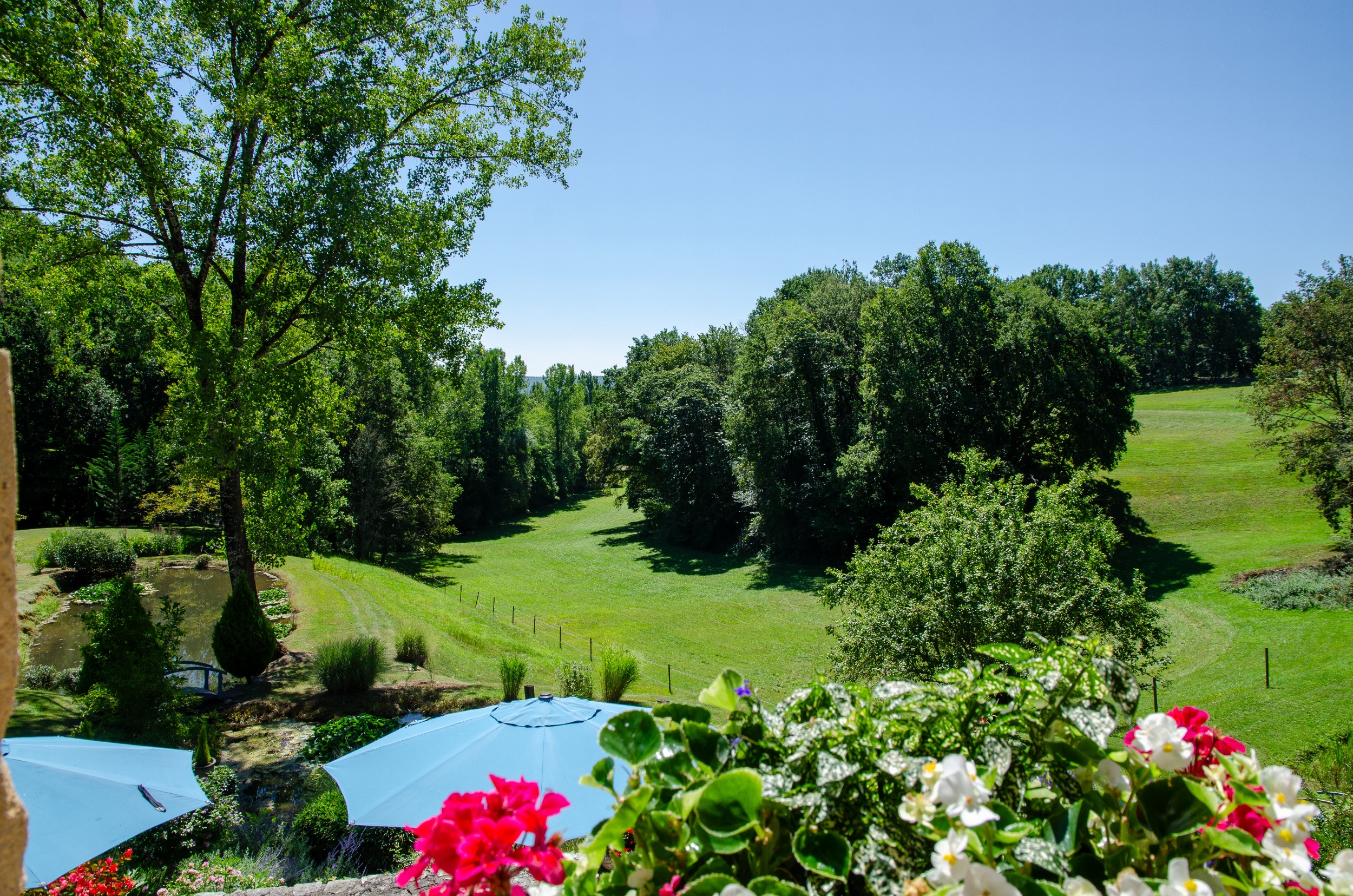  For Sale - A green oasis with a Gallo-Roman hut in the Dordogne - 物件實景