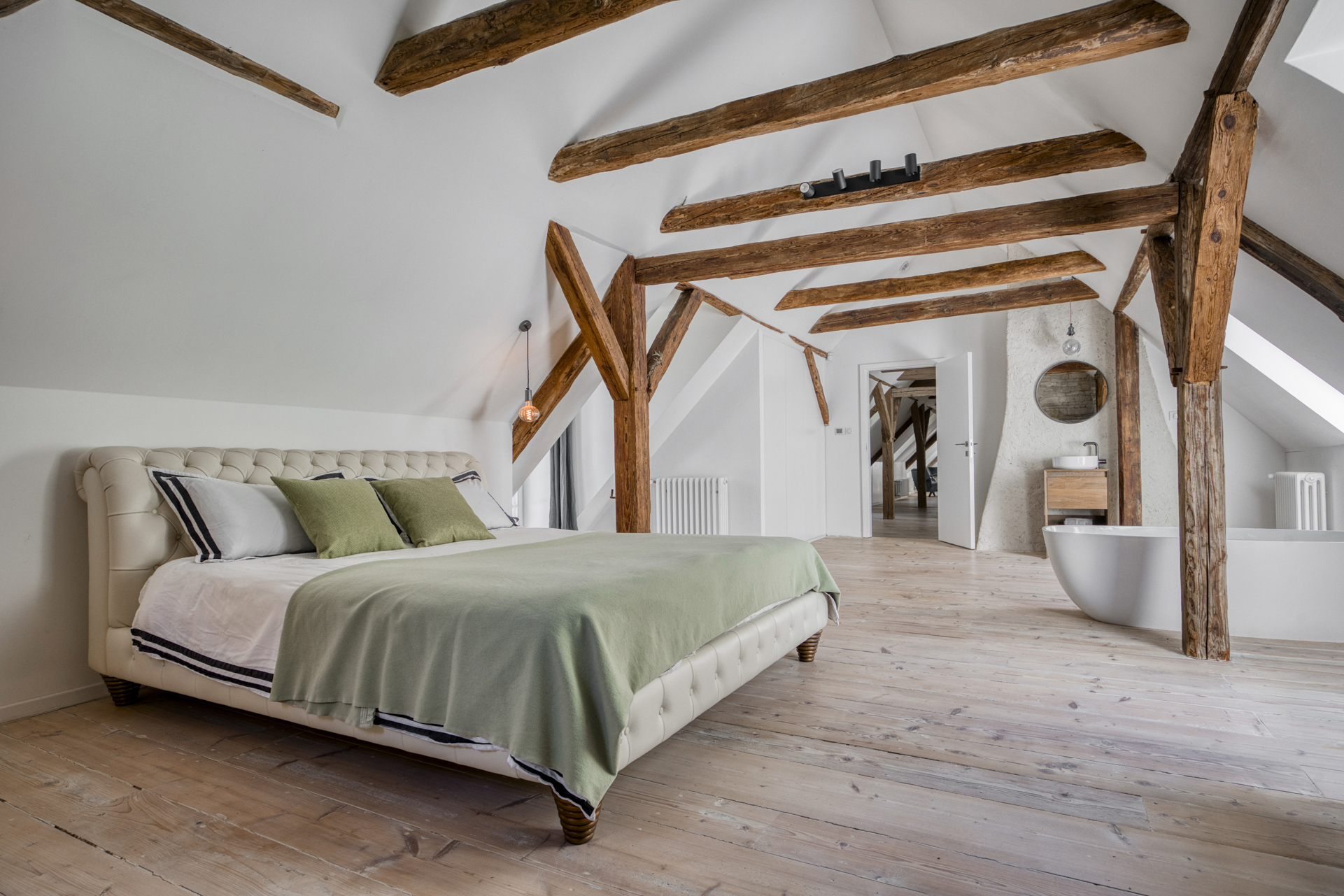  An exceptional historical residence near Prague - 物件實景
