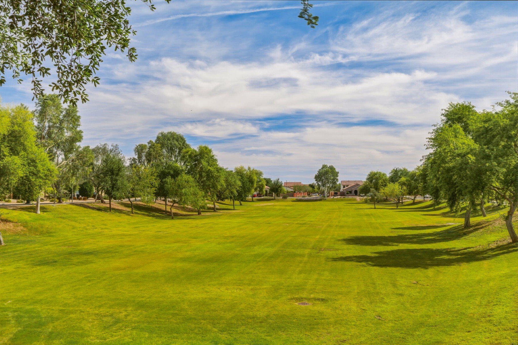  17543 W Buckhorn Trail  Surprise, AZ - 物件實景