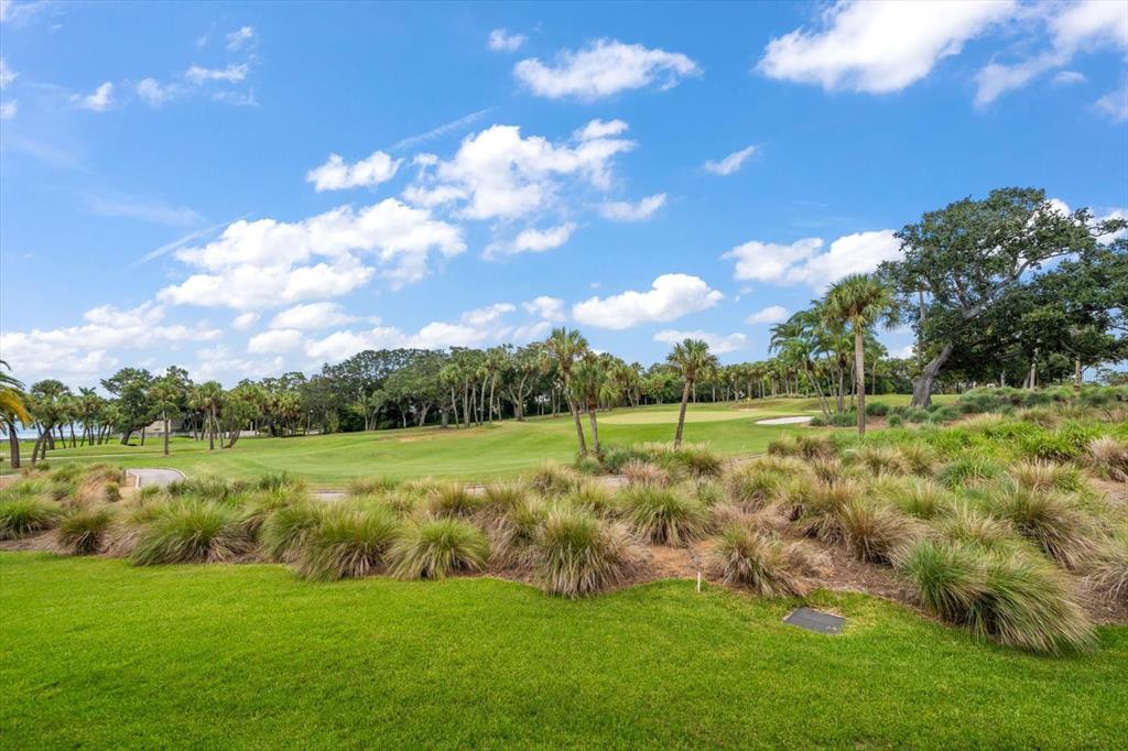 50 Coe Road Unit 311, Belleair, Florida, 33756, United States, 2 Bedrooms Bedrooms, ,2 BathroomsBathrooms,Residential,For Sale,50 Coe Road Unit 311,1616620