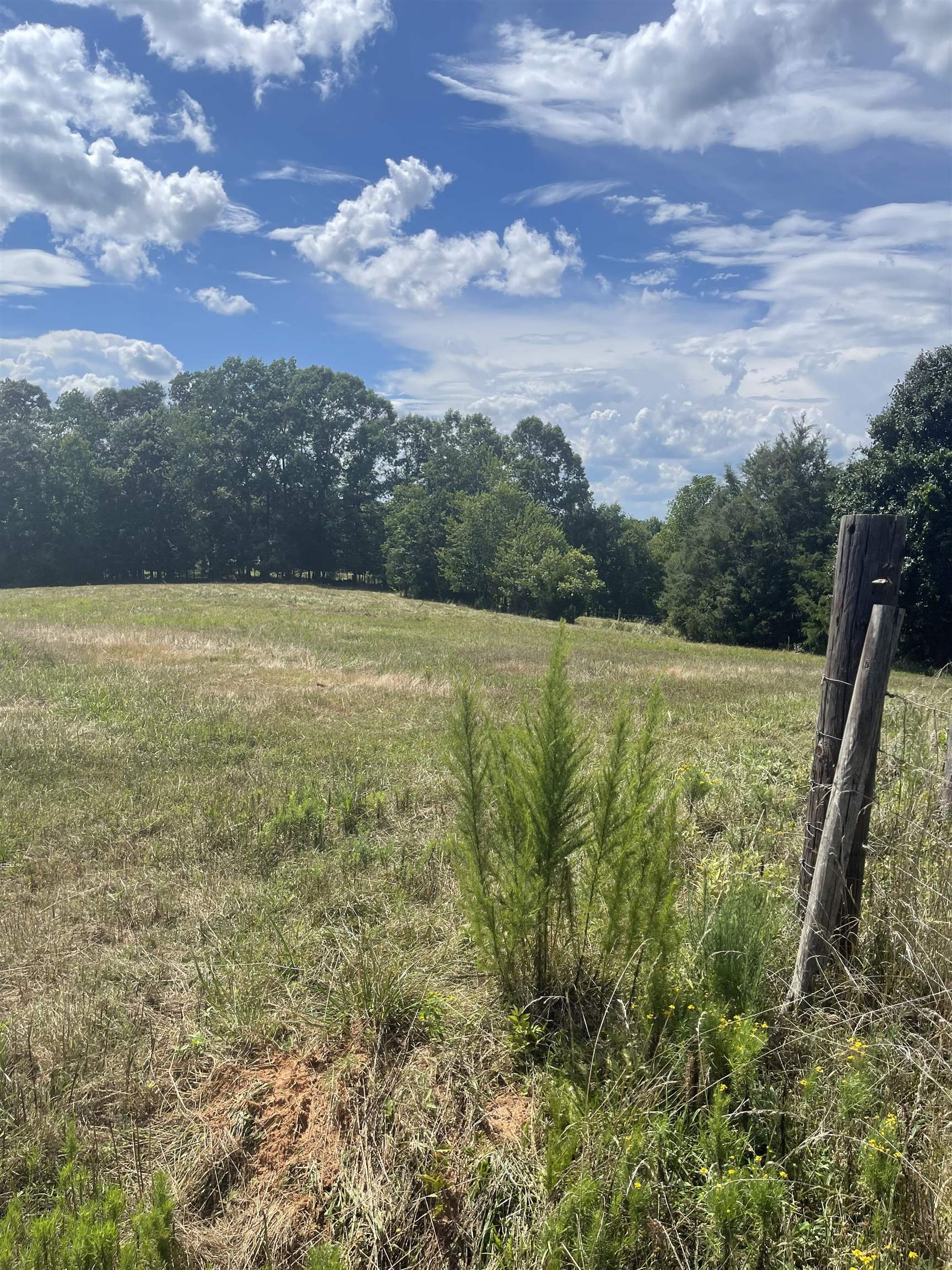 Cowpens, South Carolina, 29330, United States, 1 Bedroom Bedrooms, ,1 BathroomBathrooms,Residential,For Sale,1899320