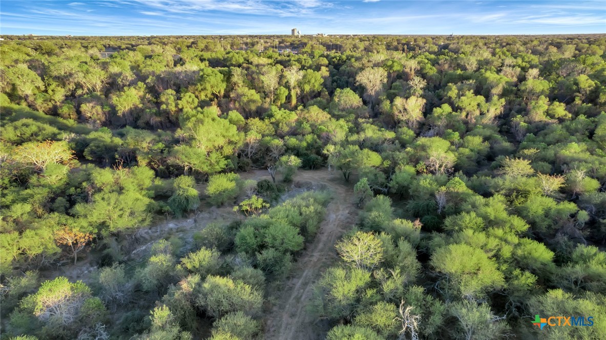 000 Smith Road, Victoria, Texas, 77905, United States, ,Land,For Sale,000 Smith Road,1673338