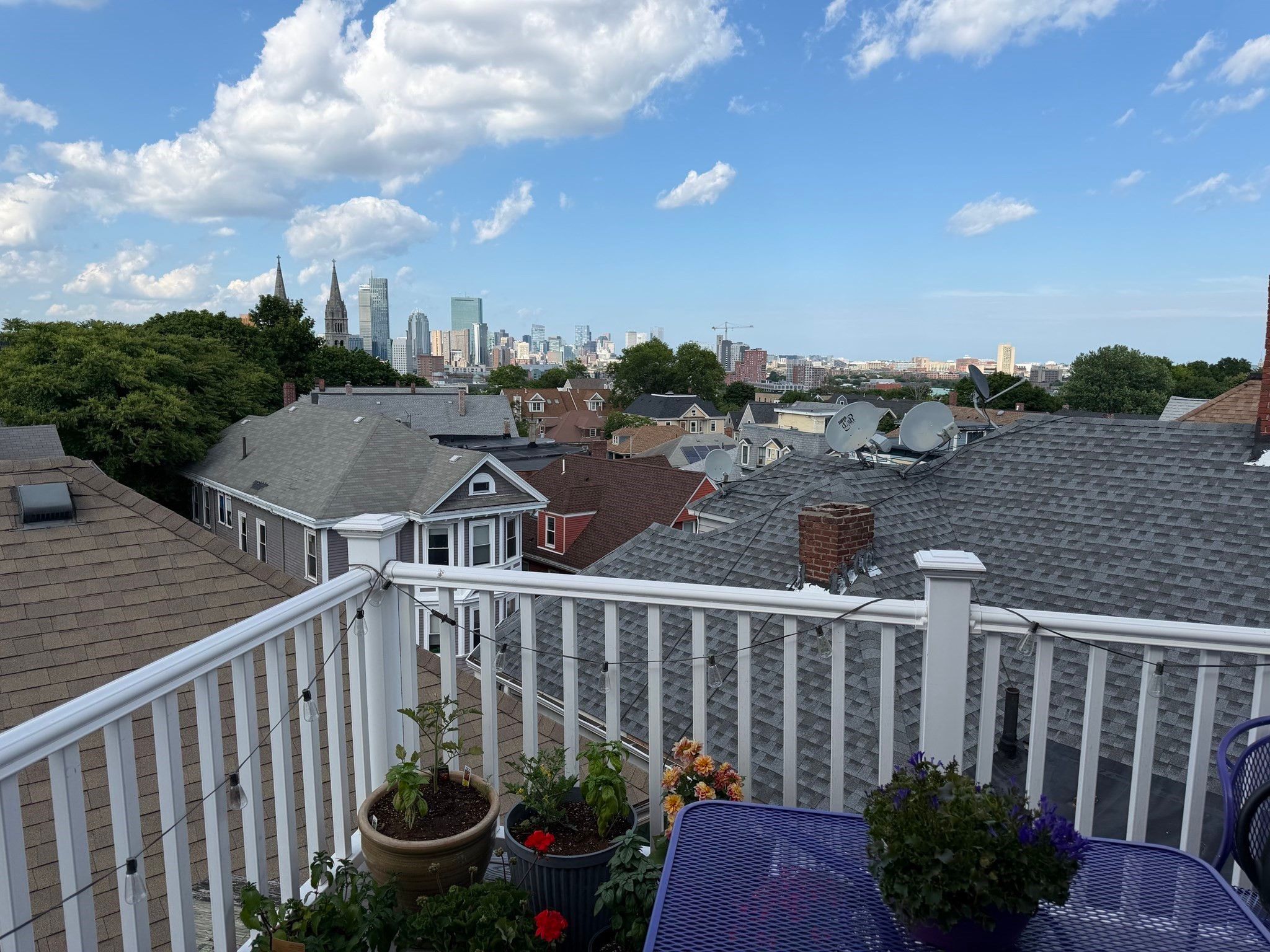  142 Calumet Street, Boston, MA, 02120 - 物件實景