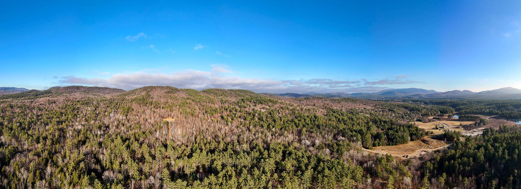 358 Buck Hill Road, Black Brook, New York, 12912, United States, ,Land,For Sale,358 Buck Hill Road,1668250