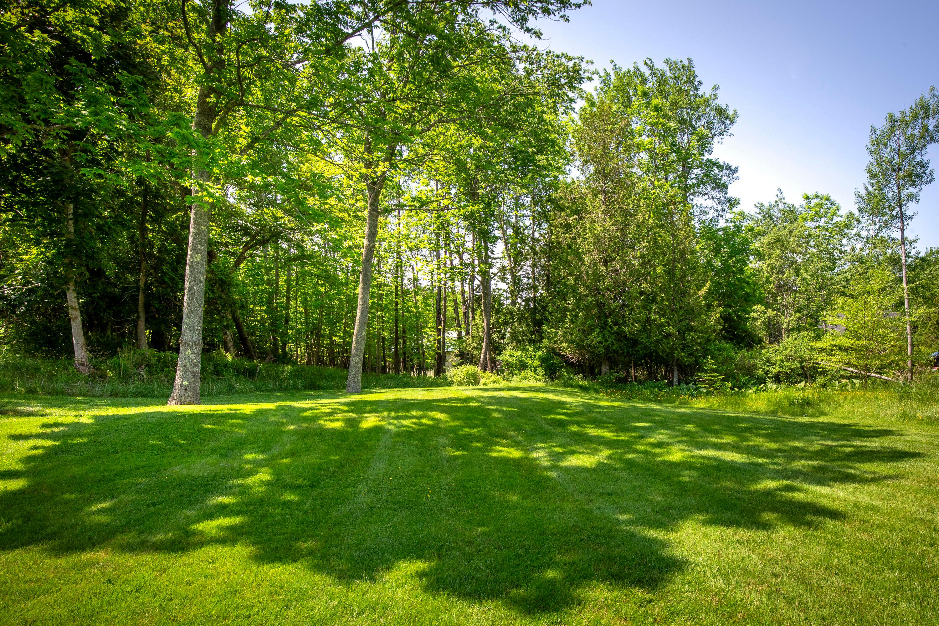  108 Colony Road - 物件實景