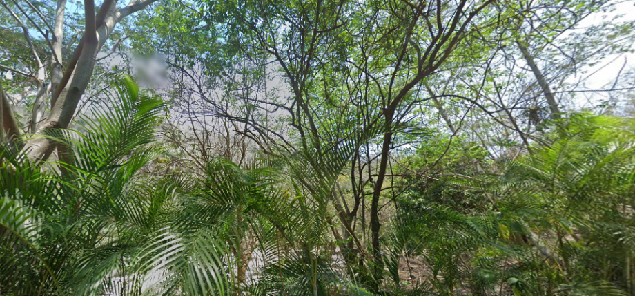 Eco Turisitca Playa Grande, Puerto Vallarta, Jalisco, 48327, Mexico, 1 Bedroom Bedrooms, ,Residential,For Sale,Eco Turisitca Playa Grande,1571341