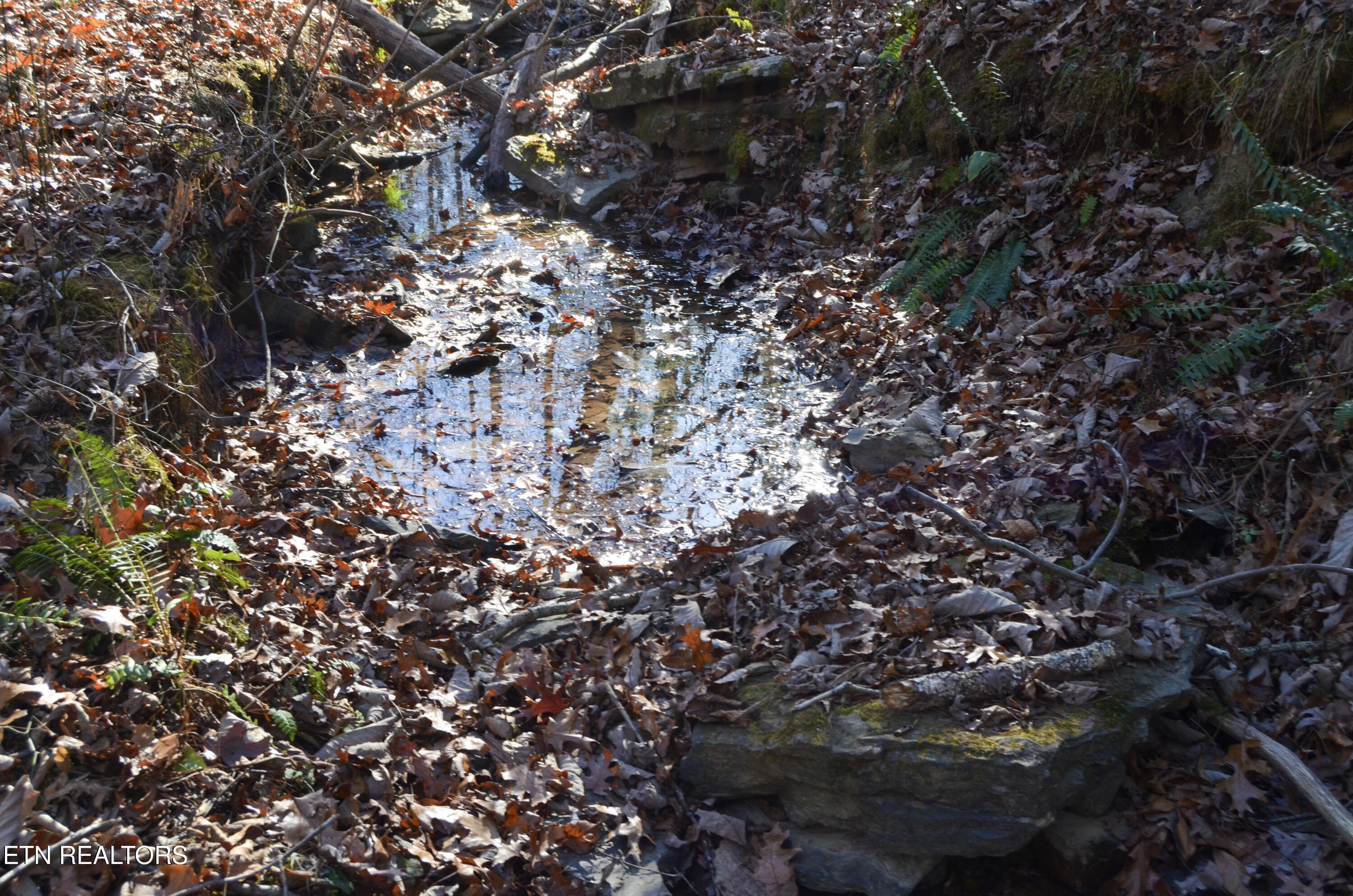 Crossville, Tennessee, 38555, United States, ,Land,For Sale,1978266