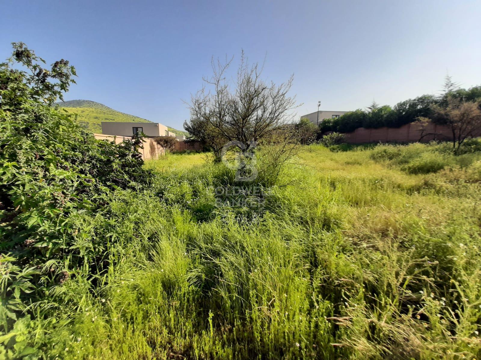 Colina, Chile, ,Land,For Sale,1962986