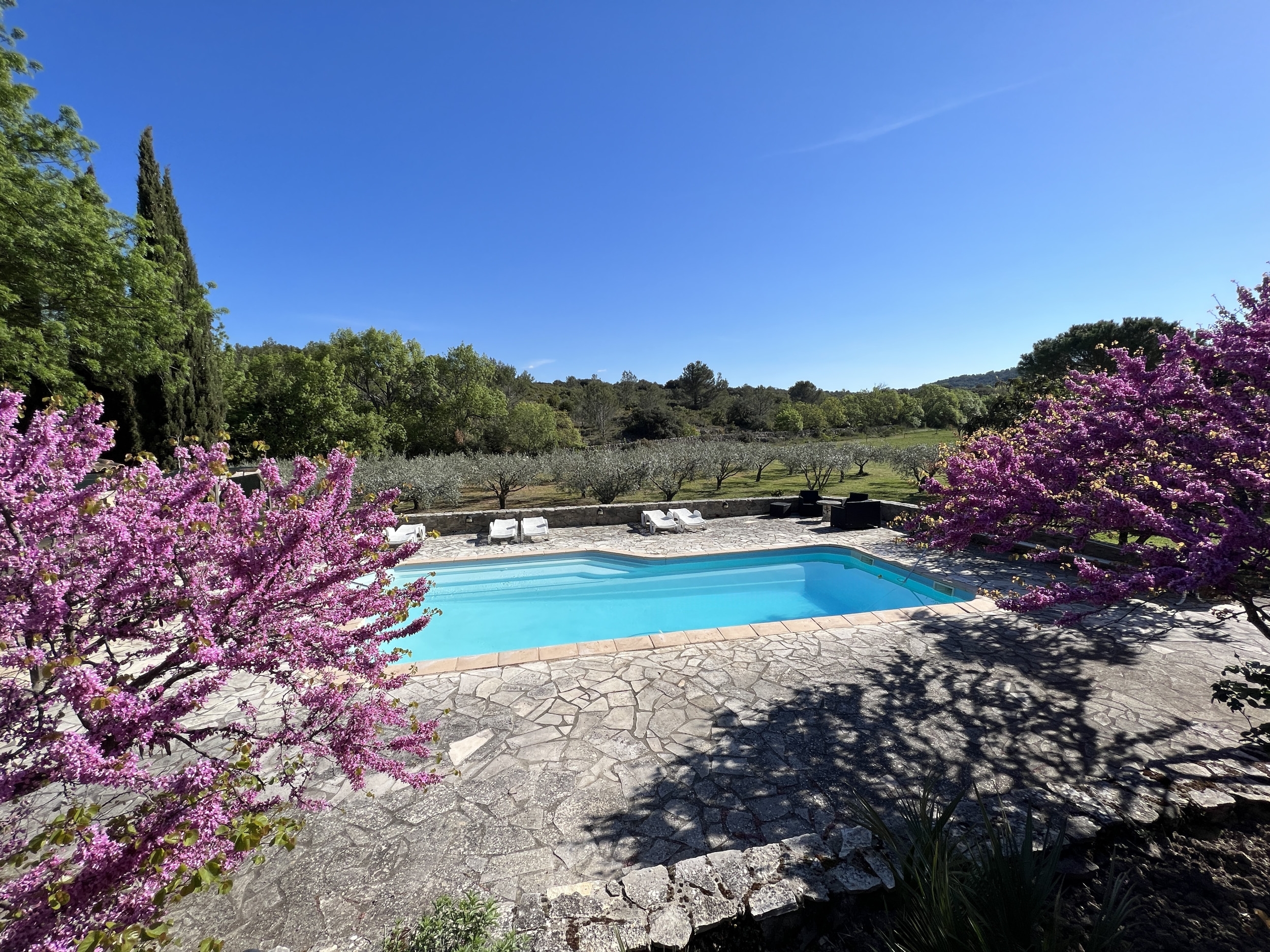  MAGNIFICENT DOMAIN BETWEEN VINEYARDS AND GARRIGUE NEAR PEYRIAC MINERVOIS - 物件實景