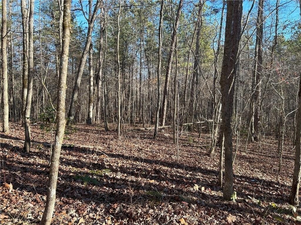 Dawsonville, Georgia, 30148, United States, ,Land,For Sale,1978894