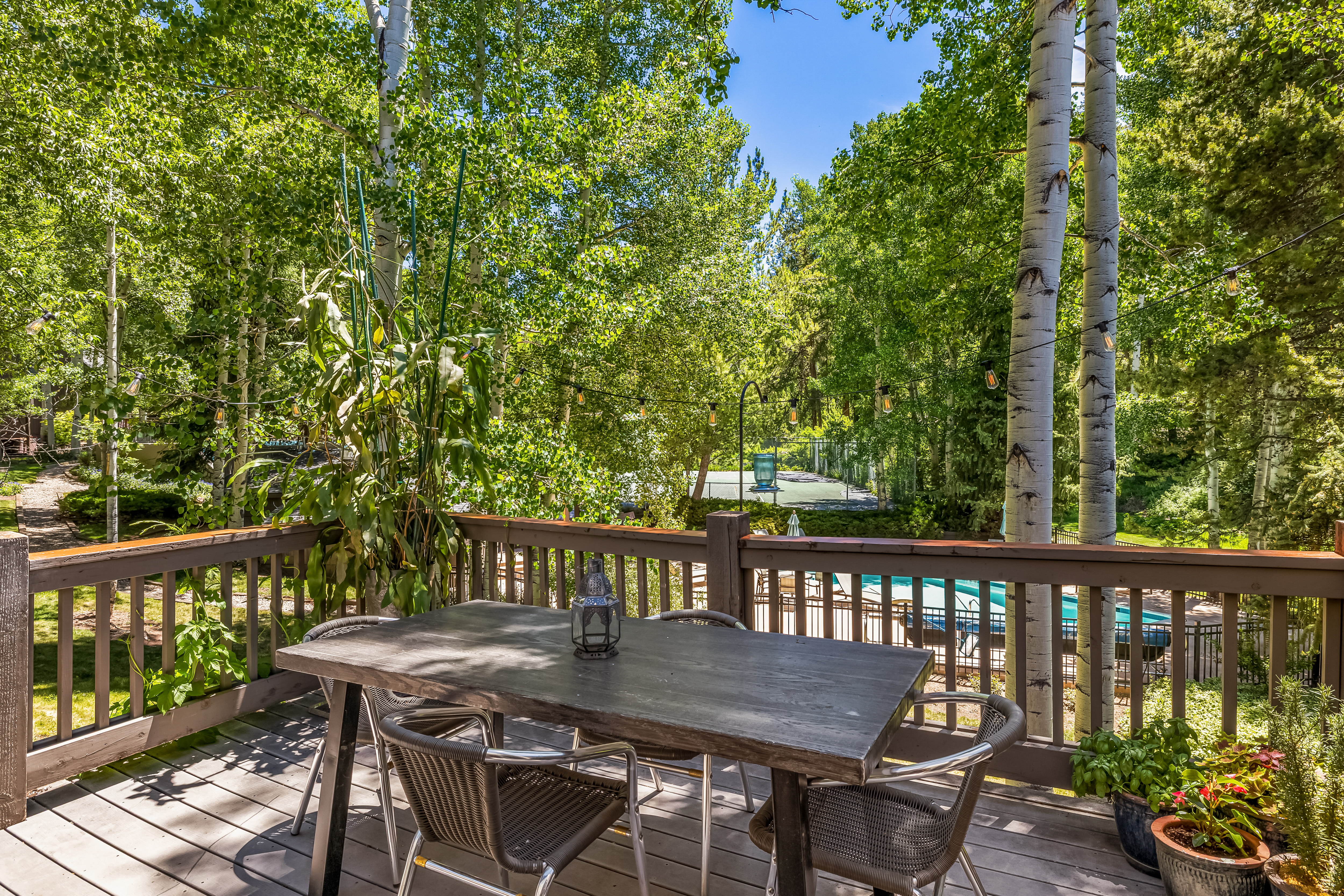  Open Acres in Genuinely Tranquil Alpine Setting that is Hard to Come by in Vail - 物件實景
