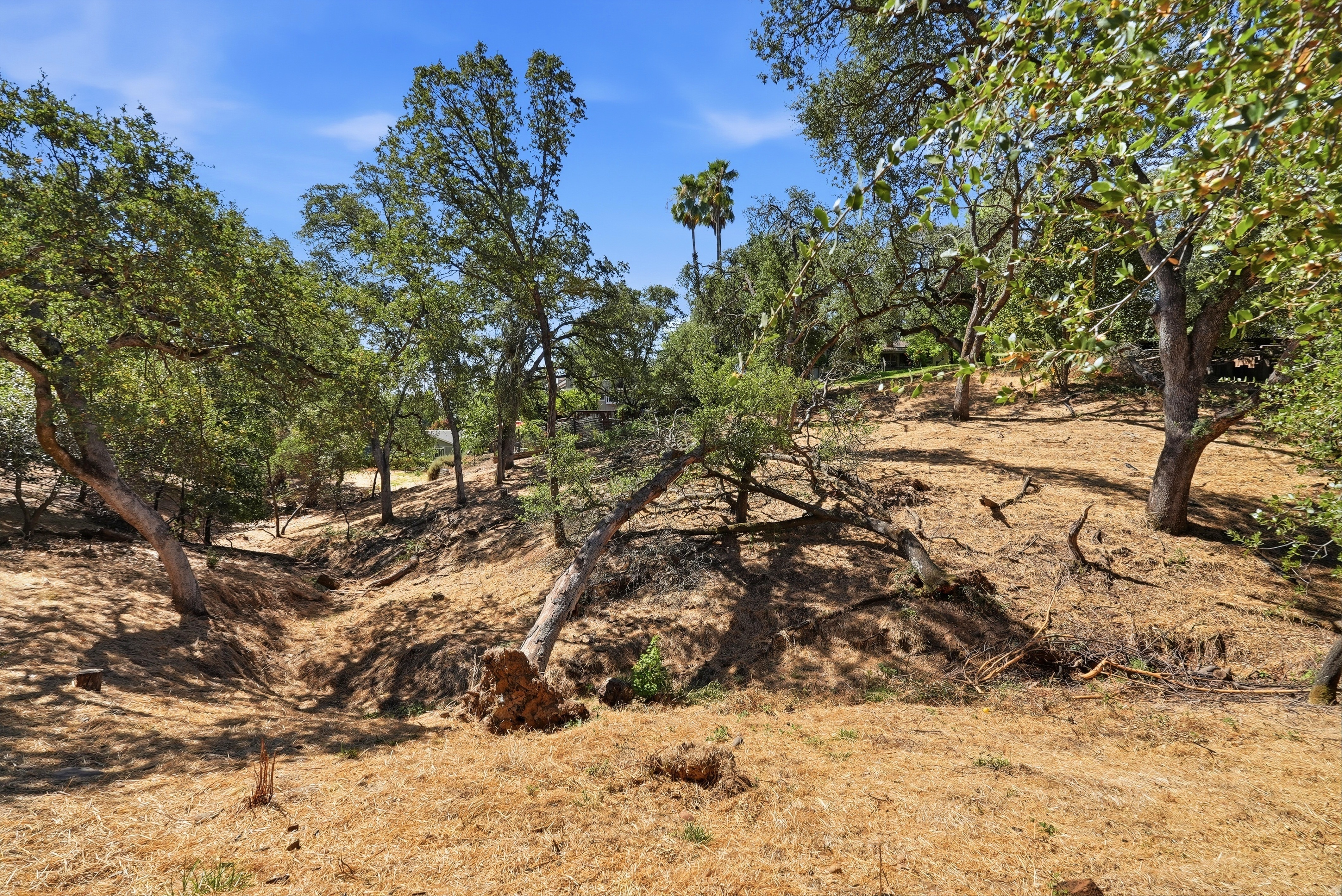  9290 South Ravine Lane, Fair Oaks, CA 95628 - 物件實景