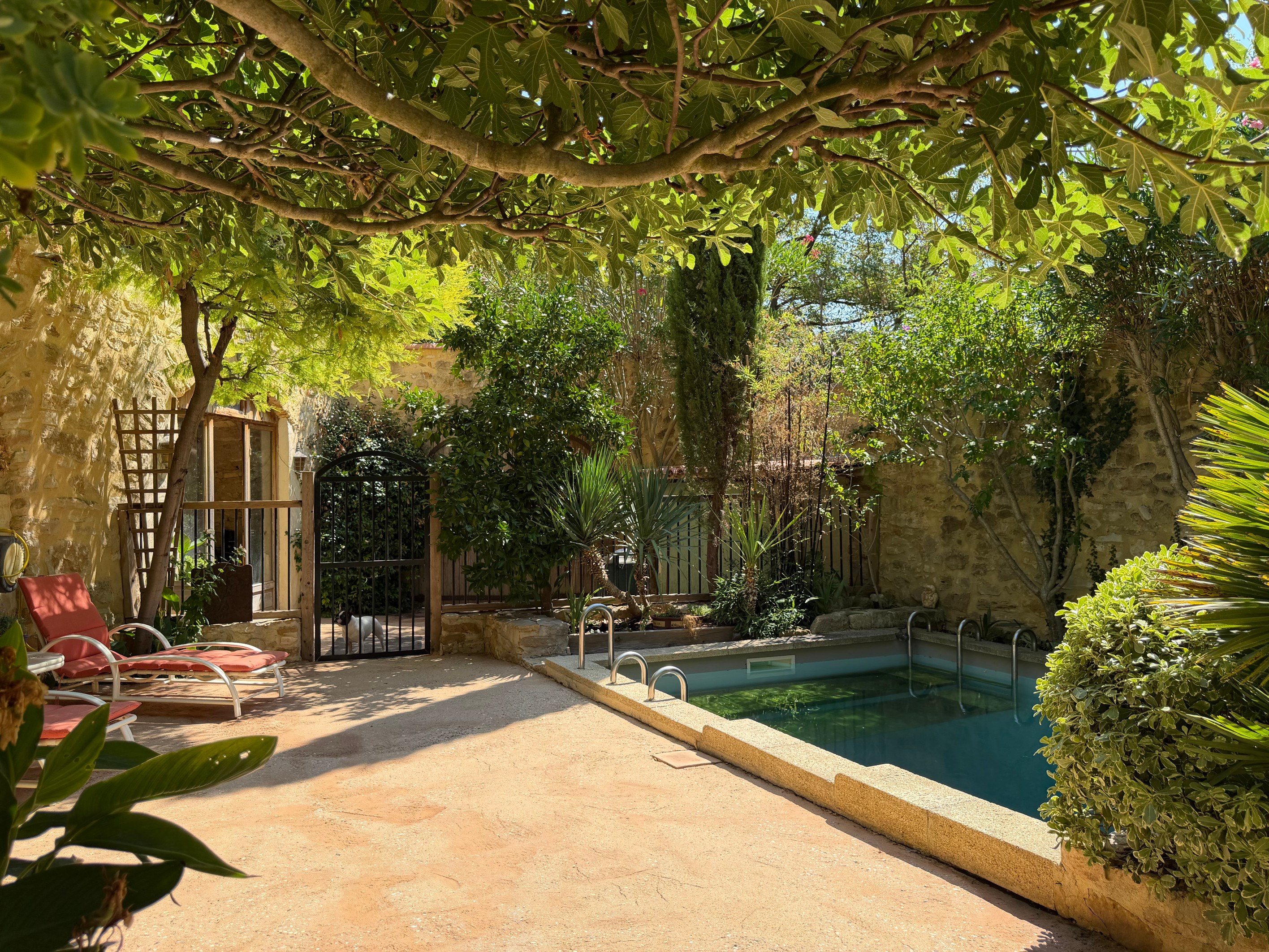  Authentic Provençal Stone Mas – 3.3-Hectare Estate Overlooking the Cèze Valley - 物件實景