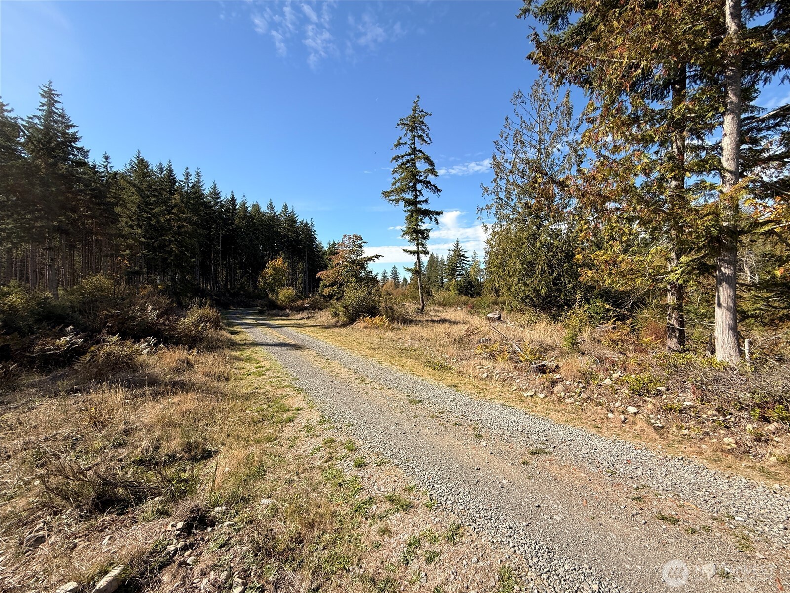 Rainier, Washington, 98576, United States, ,Land,For Sale,1998419