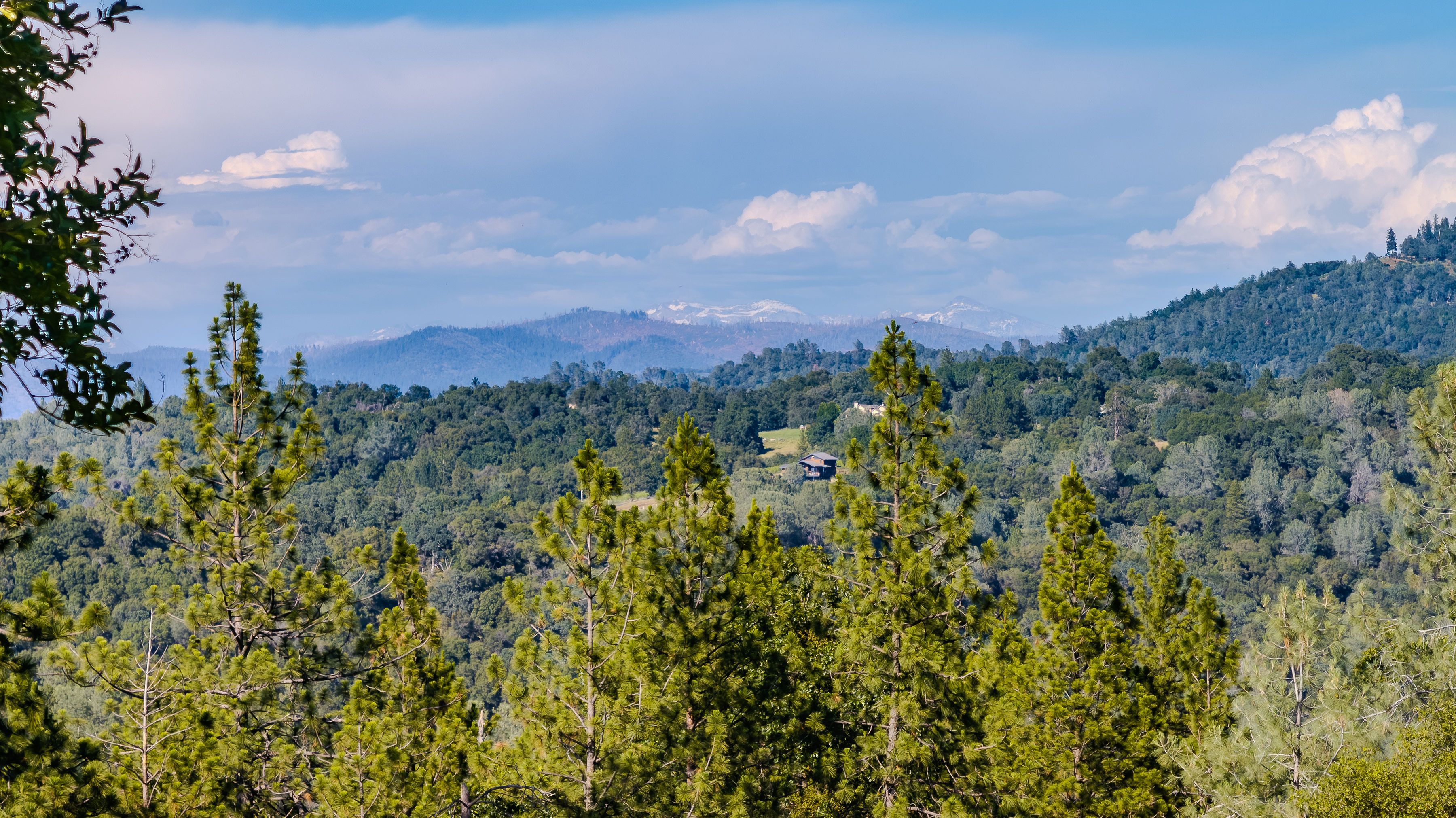  12551 Steiner Road, Plymouth, CA 95669 - 物件實景