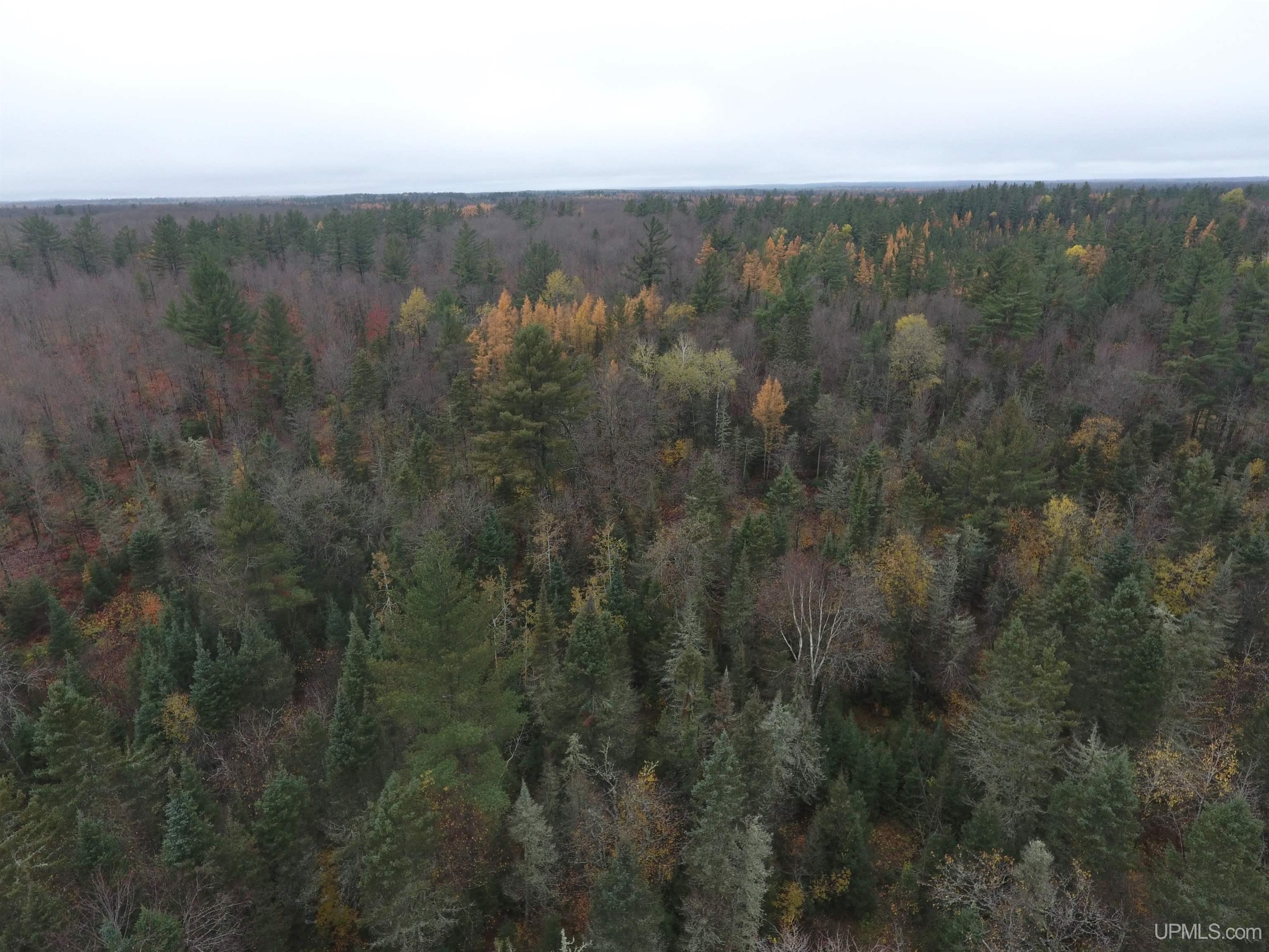 Michigamme, Michigan, 49861, United States, 4 Bedrooms Bedrooms, ,Residential,For Sale,1879057