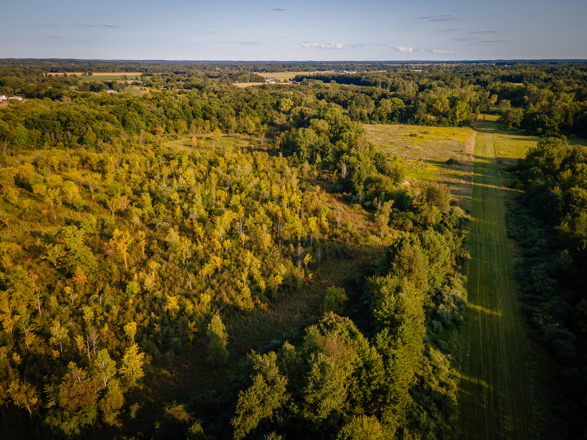 Jackson, Michigan, 49201, United States, 4 Bedrooms Bedrooms, ,2 BathroomsBathrooms,Residential,For Sale,1981022