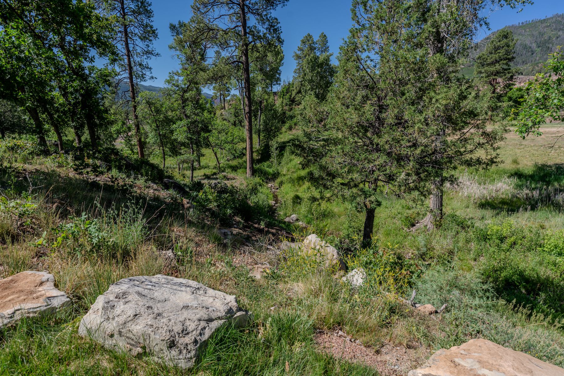  341 Painter Ranch Trail, Durango, CO 81301 - 物件實景