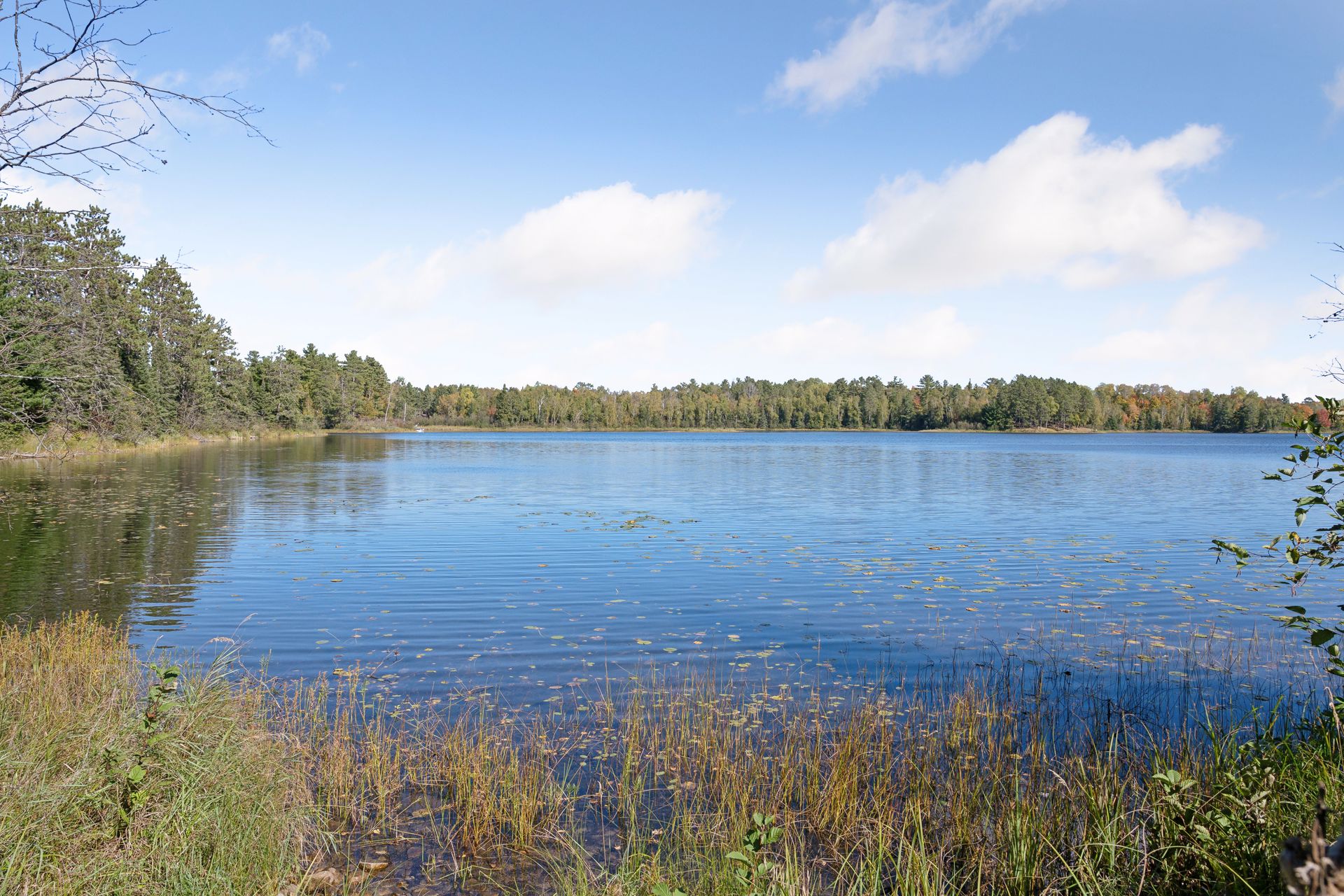  Private Wilderness Retreat Surrounded by National Forest - 物件實景