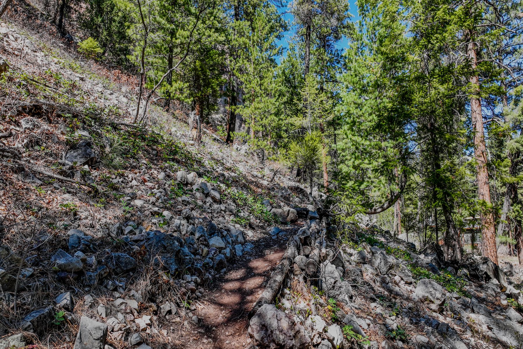  34 Crocus Court - 物件實景