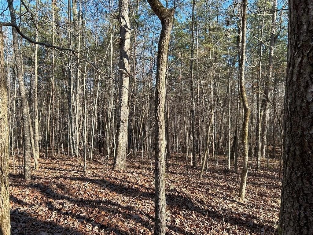 Dawsonville, Georgia, 30148, United States, ,Land,For Sale,1978894