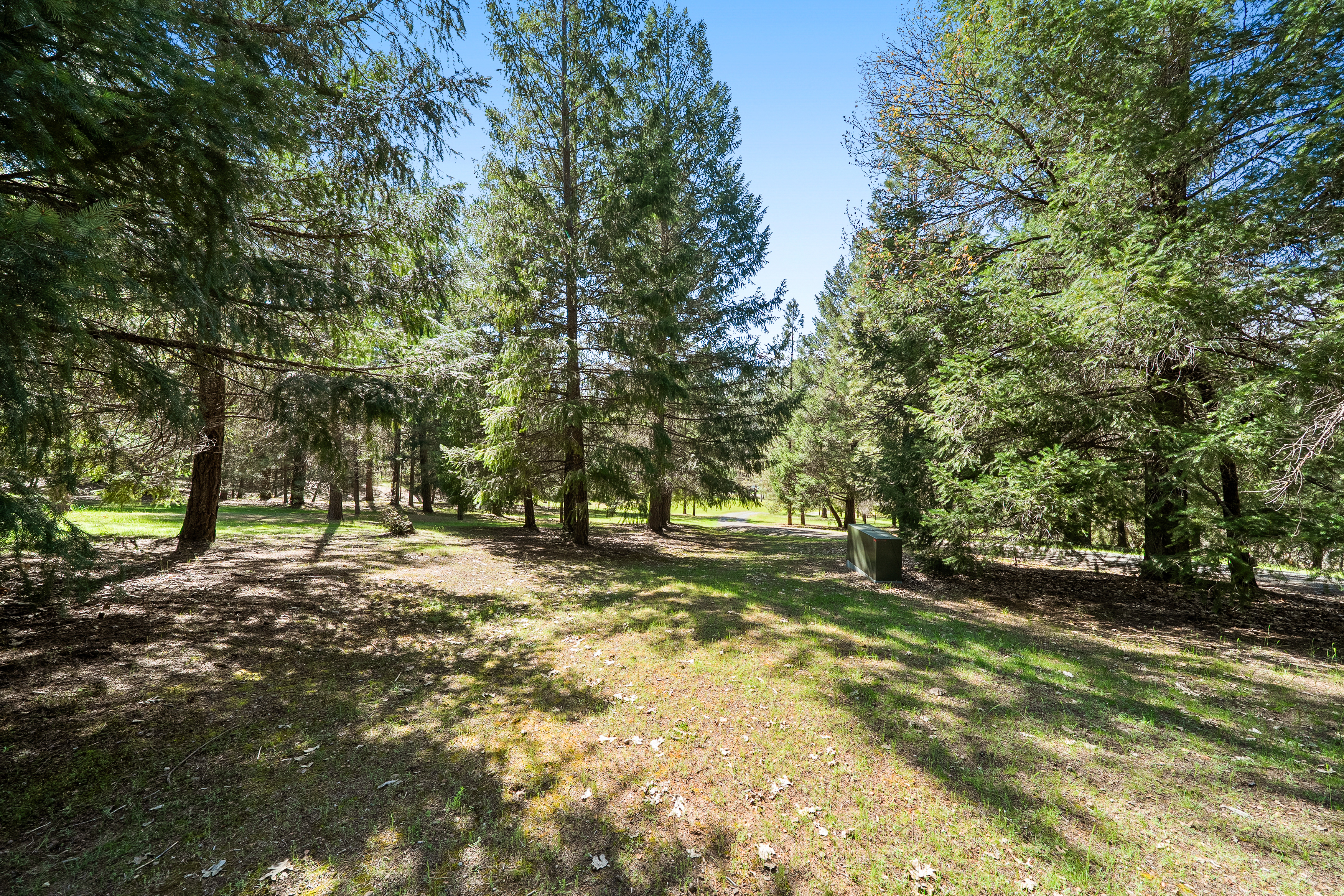  2995 Goose Ranch Road, Lewiston, CA 96052 - 物件實景