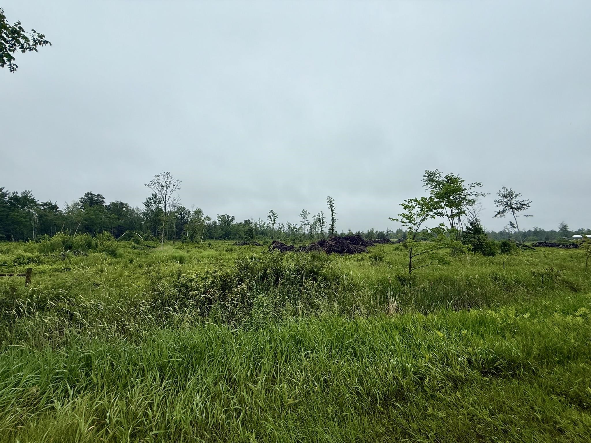 Warrens, Wisconsin, 54666, United States, 4 Bedrooms Bedrooms, ,3 BathroomsBathrooms,Residential,For Sale,1975252