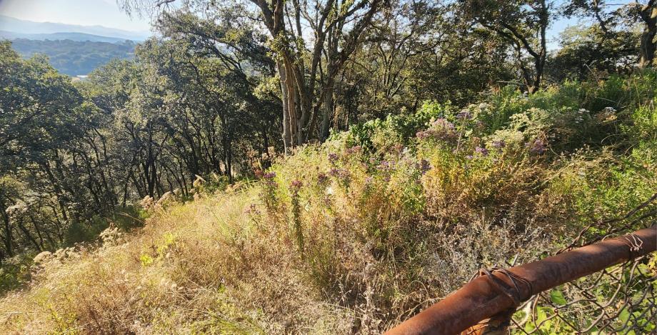 Atizapán de Zaragoza, Estado de méxico, 52938, Mexico, 1 Bedroom Bedrooms, ,Residential,For Sale,2000742