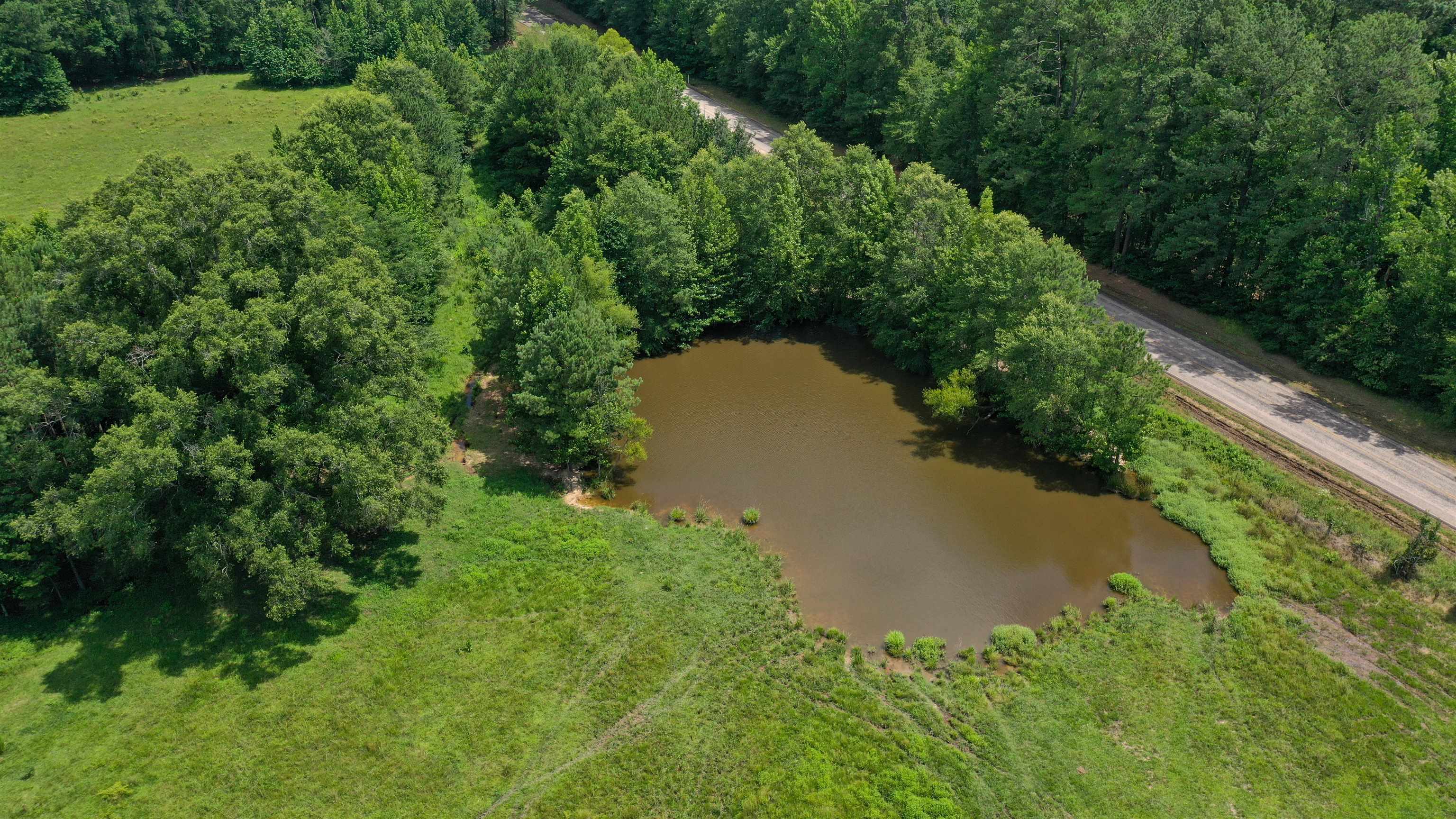 Linden, Texas, 75563, United States, ,Land,For Sale,1975448