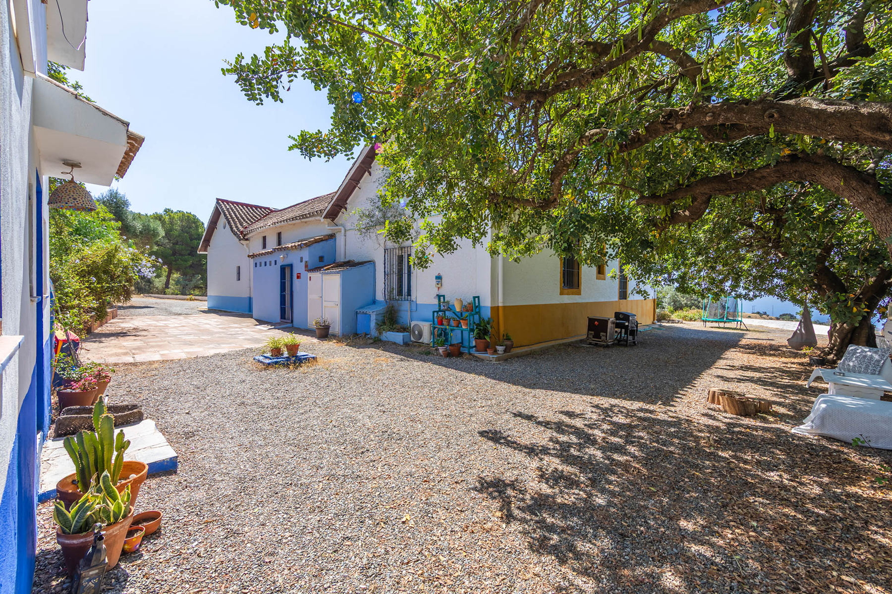  Colonial villa with olive farm near Montes de Málaga Natural Park - 物件實景