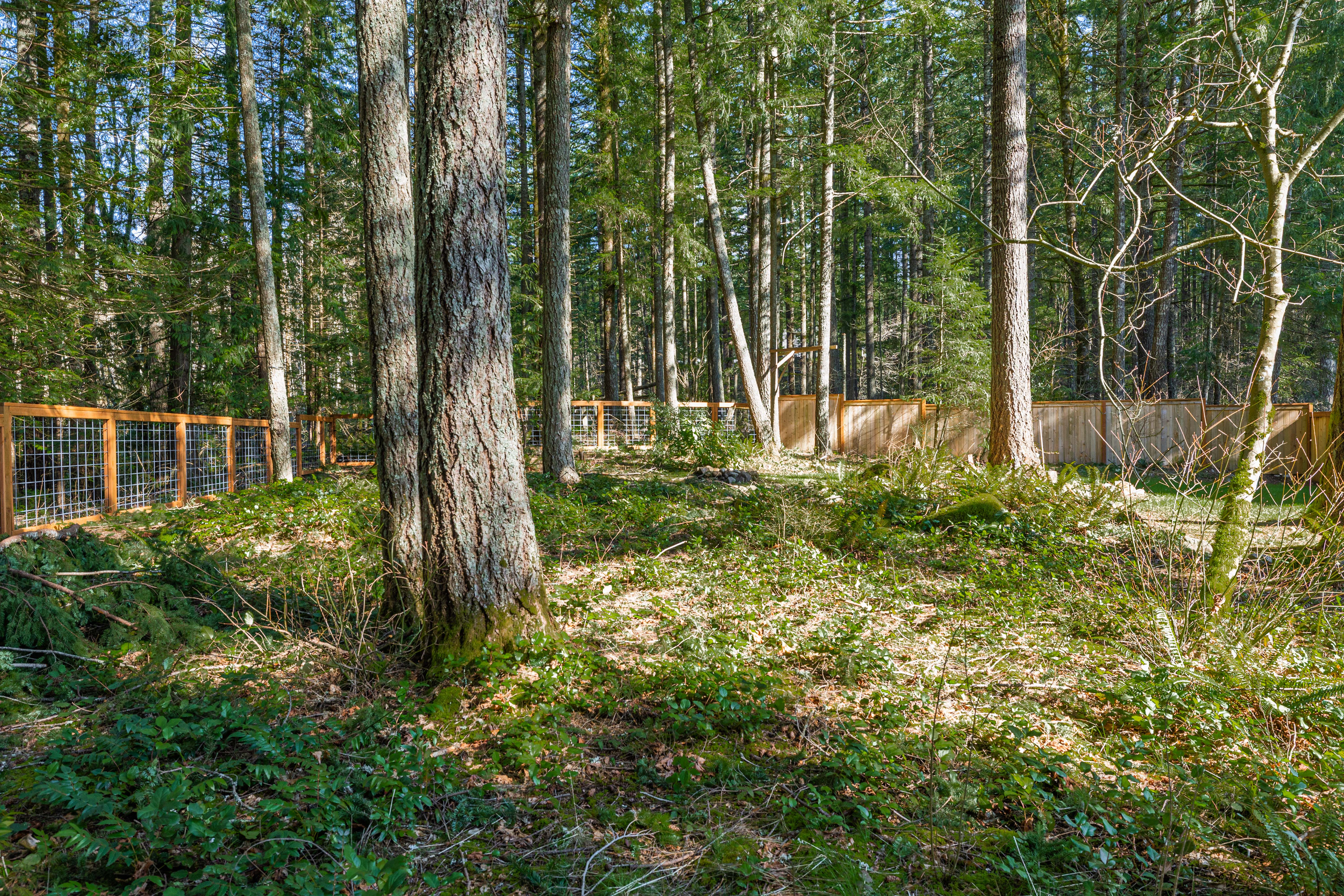  North Bend Retreat - 物件實景