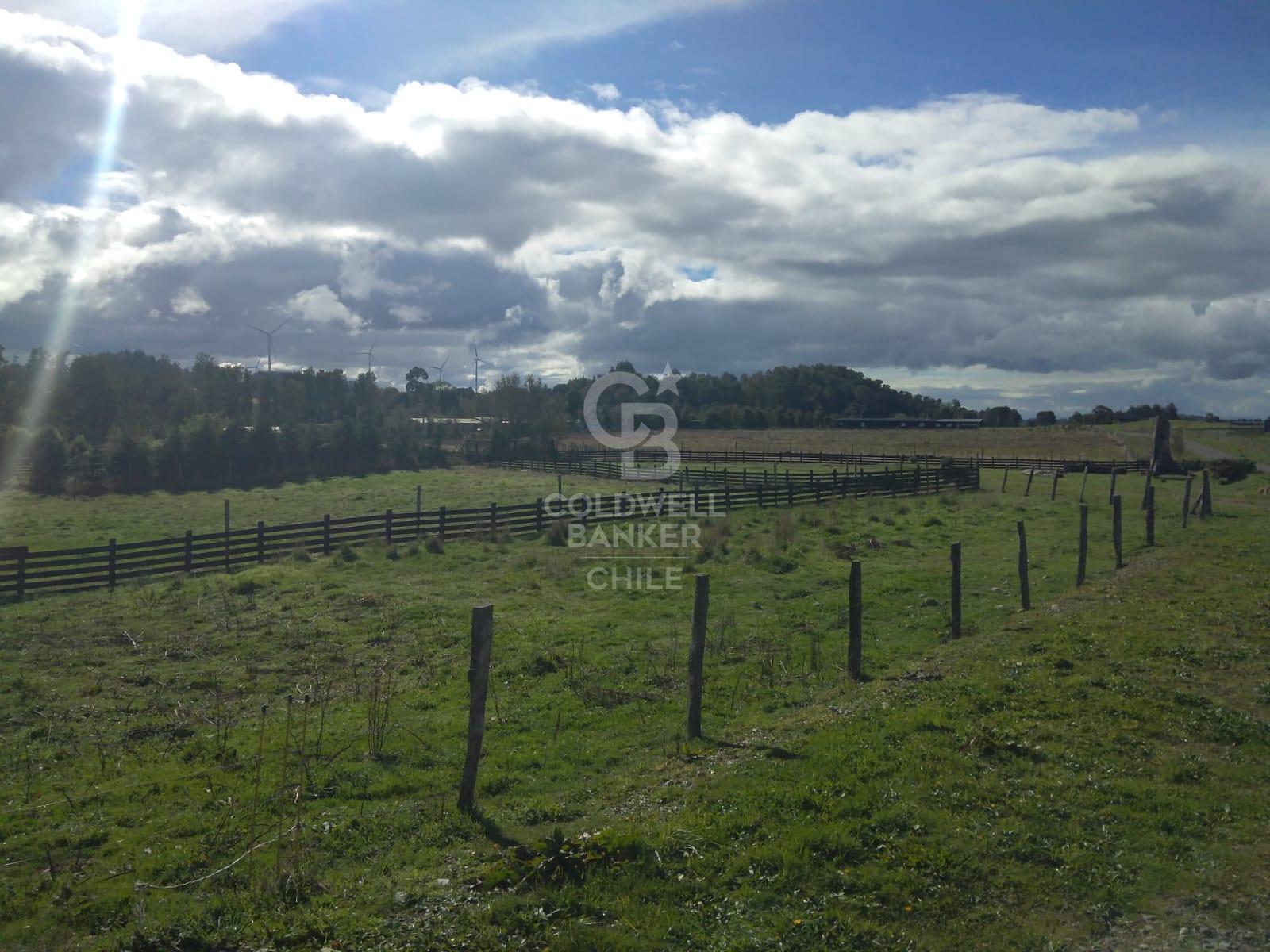 Llanquihue, Chile, 4 Bedrooms Bedrooms, ,2 BathroomsBathrooms,Residential,For Sale,1916894