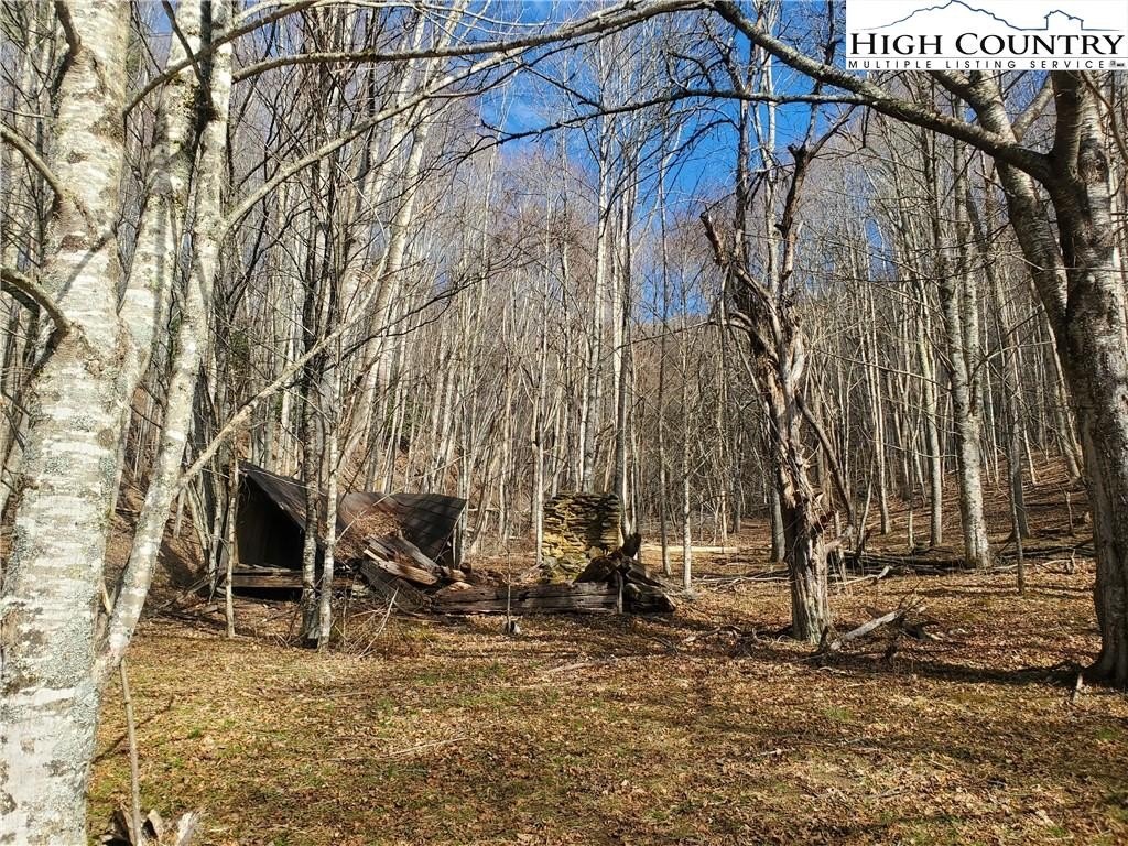 Warrensville, North Carolina, 28693, United States, ,Land,For Sale,1984173