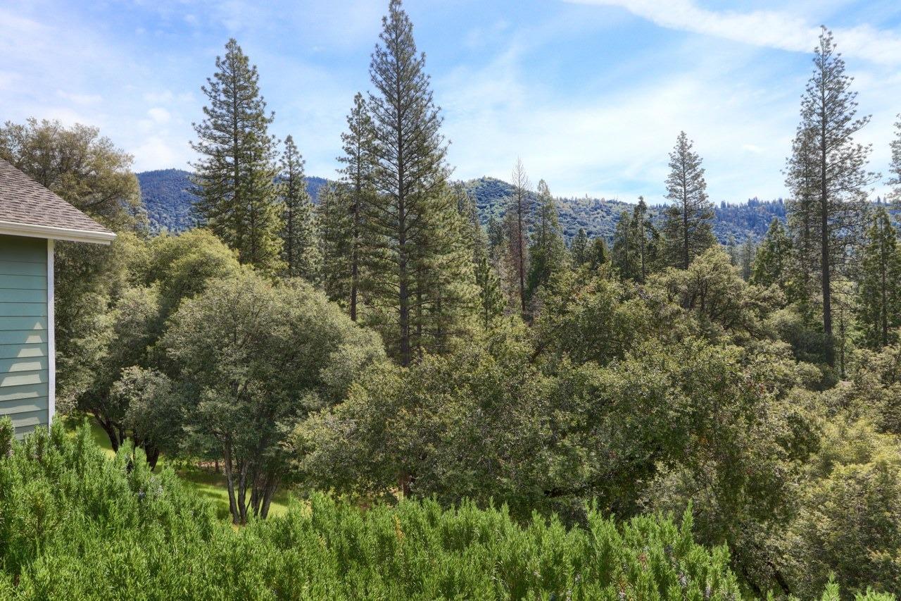 Mariposa, California, 95338, United States, 3 Bedrooms Bedrooms, ,3 BathroomsBathrooms,Residential,For Sale,1988847